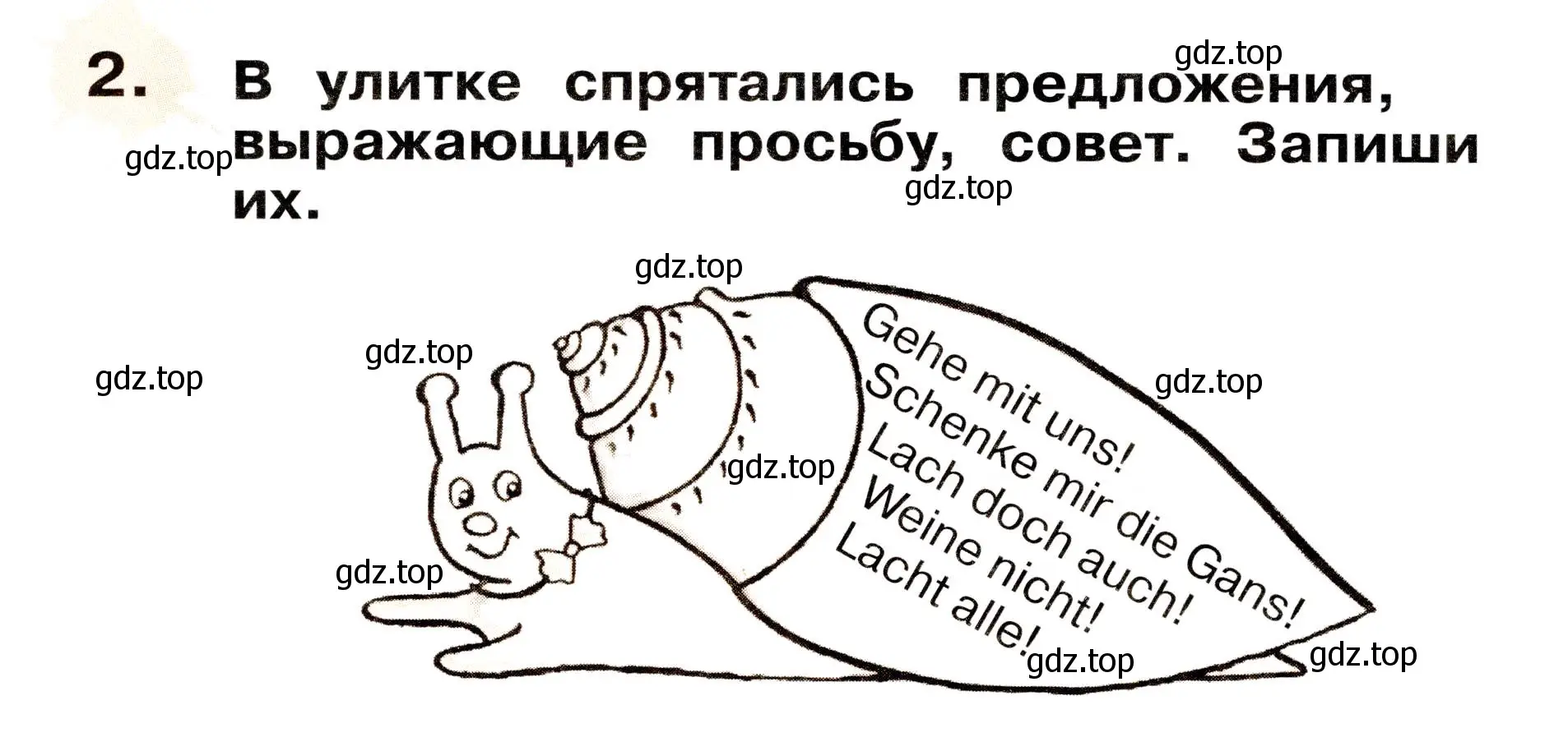 Условие номер 2 (страница 64) гдз по немецкому языку 2 класс Бим, Рыжова, рабочая тетрадь B часть