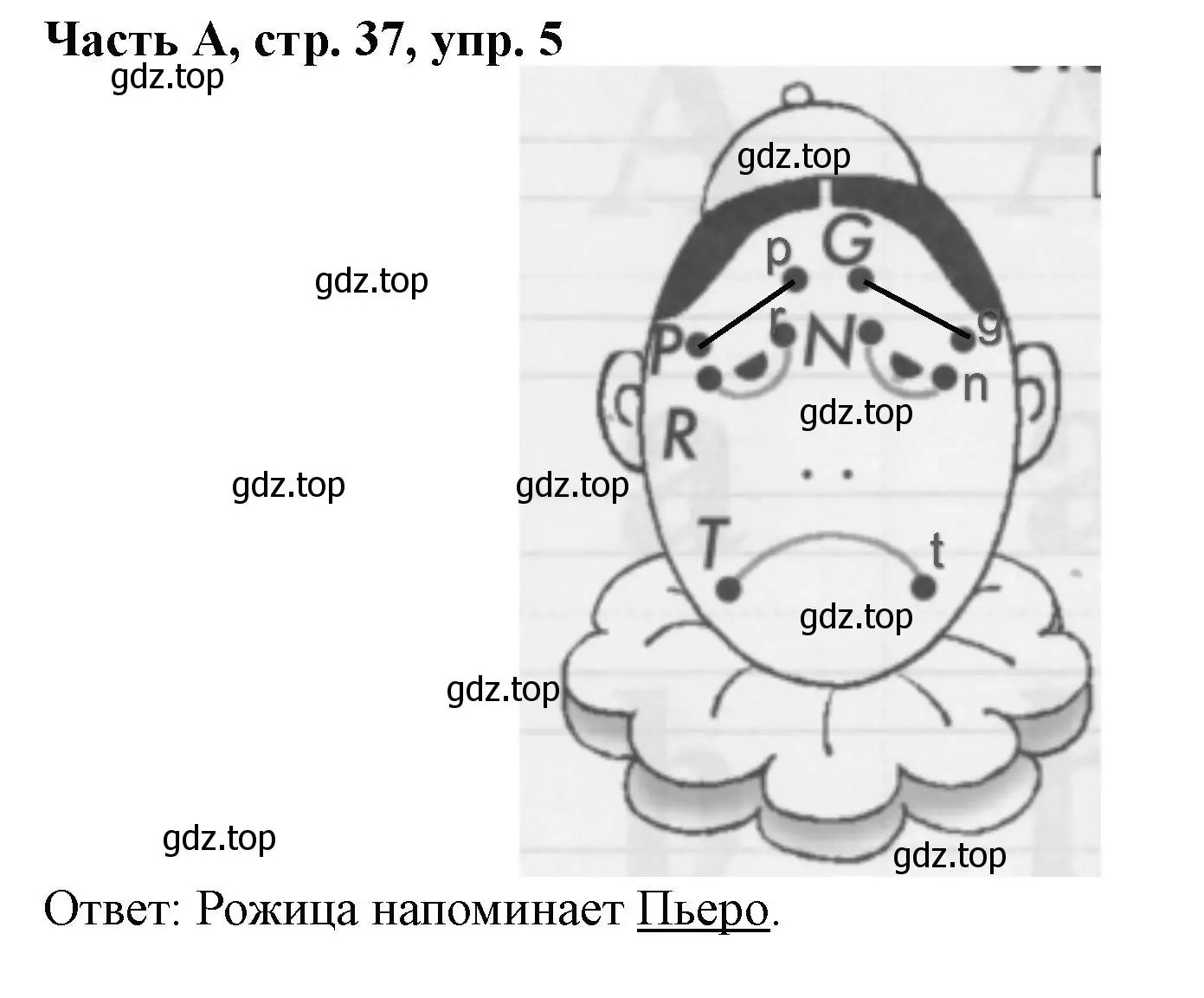 Решение номер 5 (страница 37) гдз по немецкому языку 2 класс Бим, Рыжова, рабочая тетрадь A часть