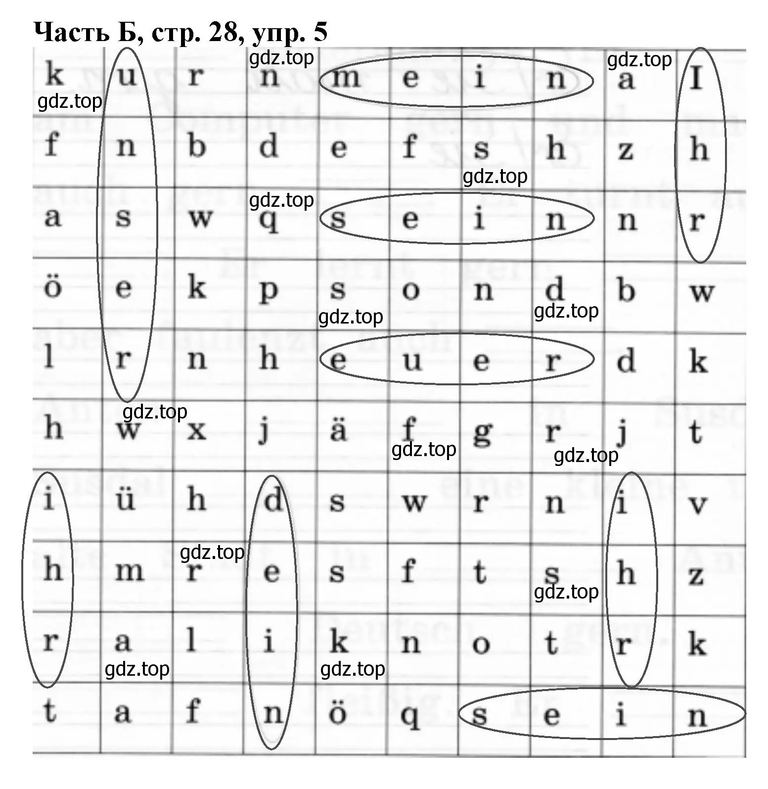 Решение номер 5 (страница 28) гдз по немецкому языку 2 класс Бим, Рыжова, рабочая тетрадь B часть