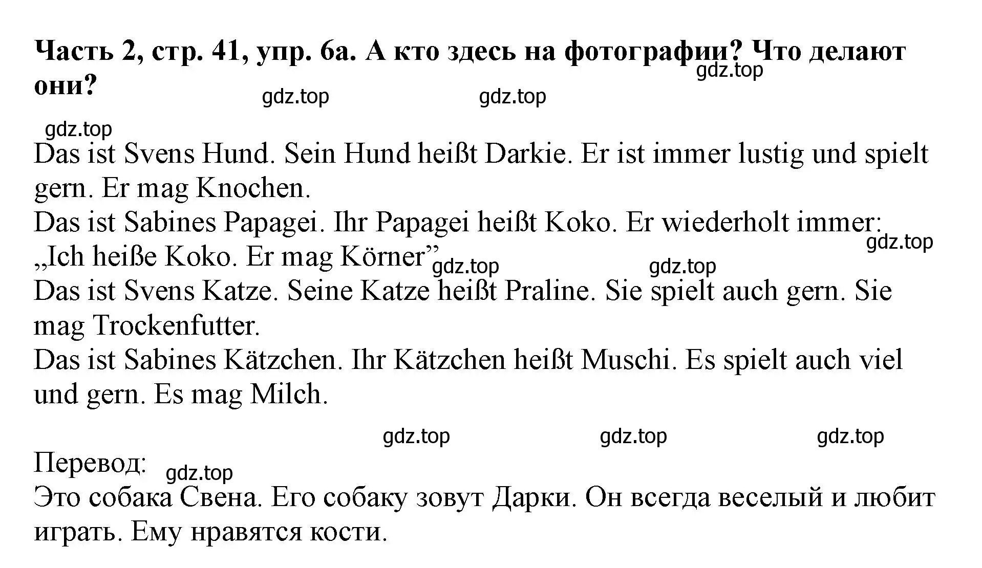 Решение номер 6 (страница 41) гдз по немецкому языку 2 класс Бим, Рыжова, учебник 2 часть