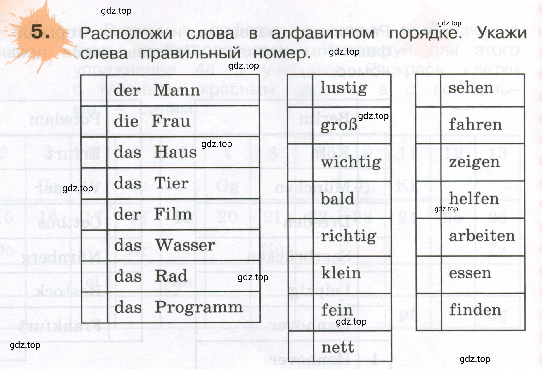 Условие номер 5 (страница 34) гдз по немецкому языку 3 класс Бим, Рыжова, рабочая тетрадь 1 часть