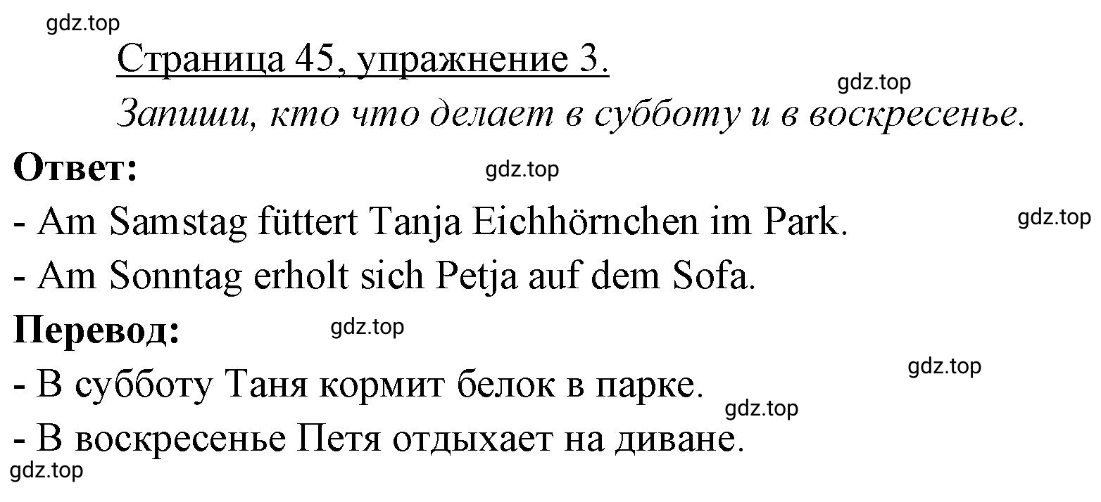 Решение номер 3 (страница 45) гдз по немецкому языку 3 класс Бим, Рыжова, рабочая тетрадь 1 часть