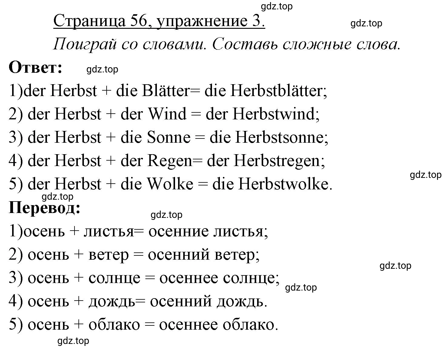 Решение номер 3 (страница 56) гдз по немецкому языку 3 класс Бим, Рыжова, рабочая тетрадь 1 часть