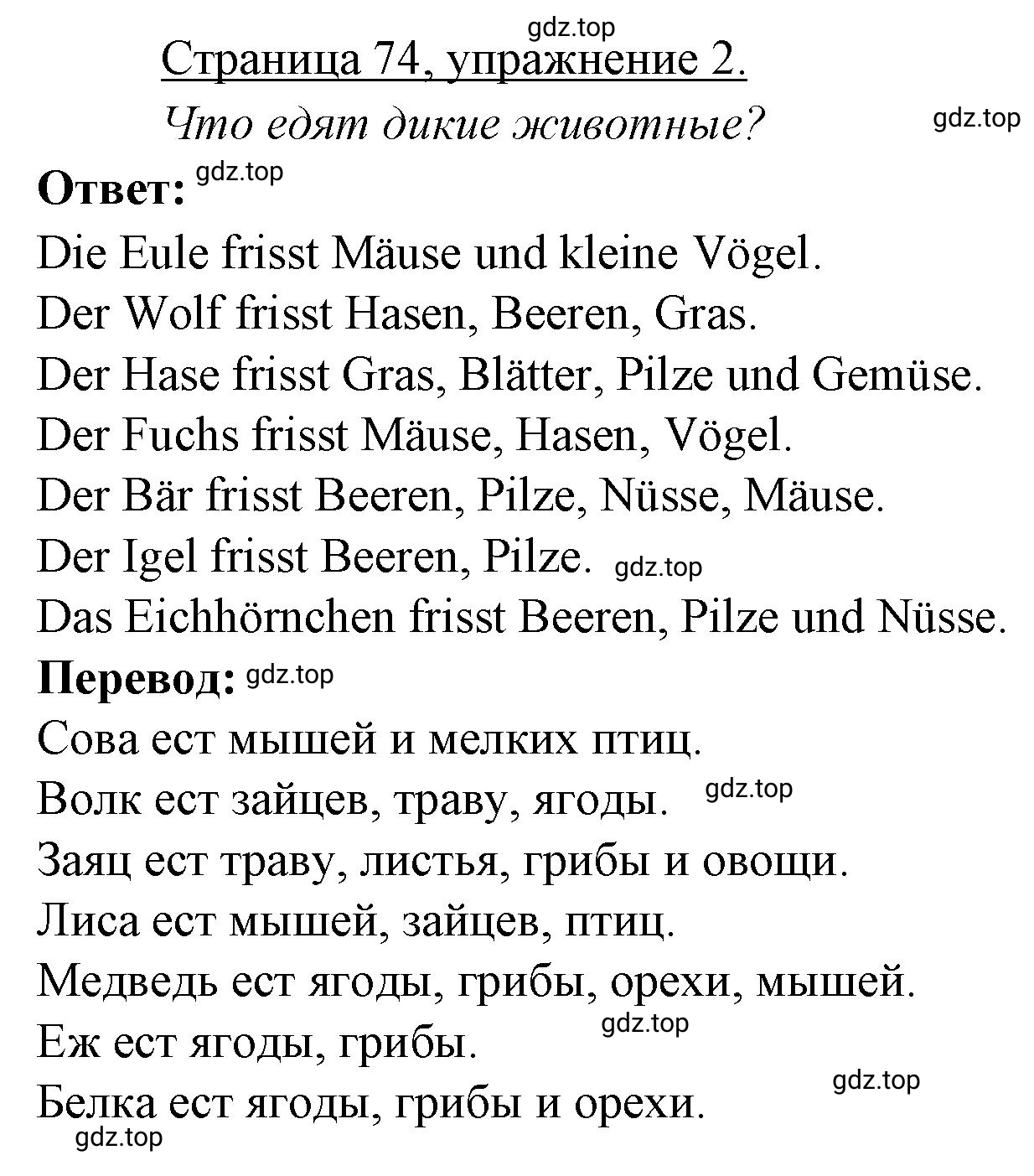 Решение номер 2 (страница 74) гдз по немецкому языку 3 класс Бим, Рыжова, рабочая тетрадь 1 часть