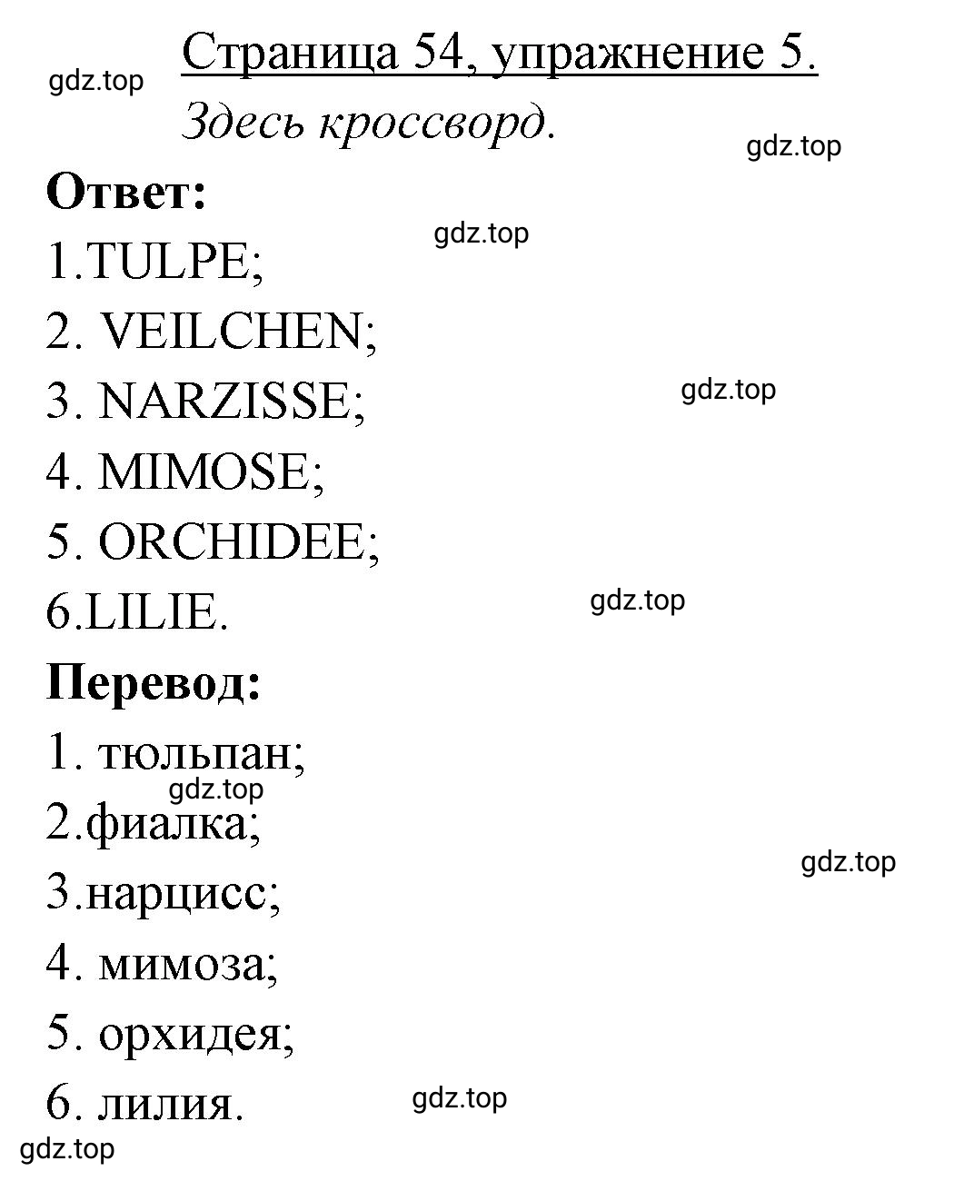 Решение номер 5 (страница 54) гдз по немецкому языку 3 класс Бим, Рыжова, рабочая тетрадь 2 часть