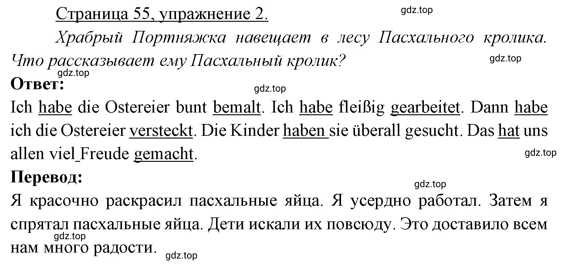 Решение номер 2 (страница 55) гдз по немецкому языку 3 класс Бим, Рыжова, рабочая тетрадь 2 часть