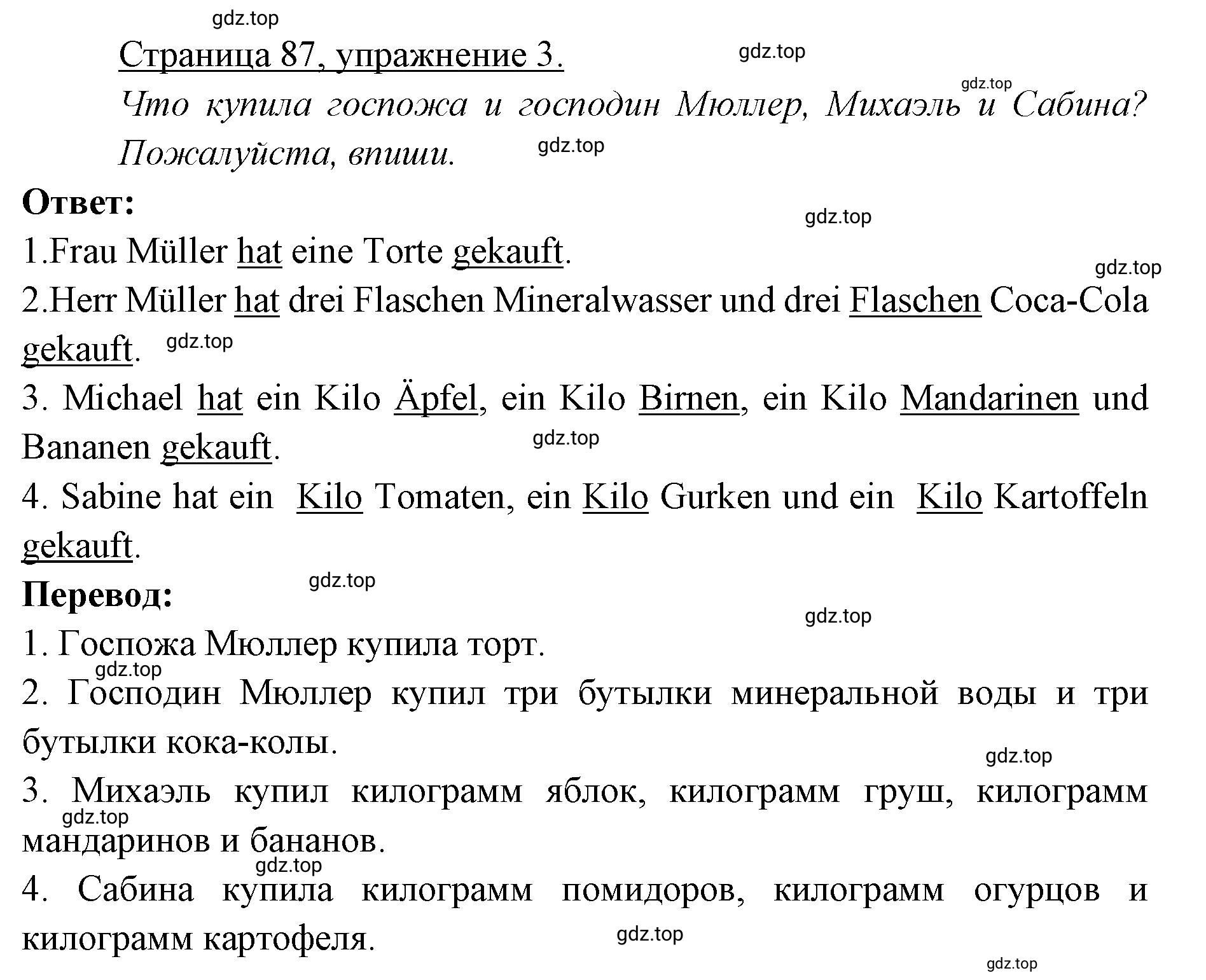 Решение номер 3 (страница 87) гдз по немецкому языку 3 класс Бим, Рыжова, рабочая тетрадь 2 часть