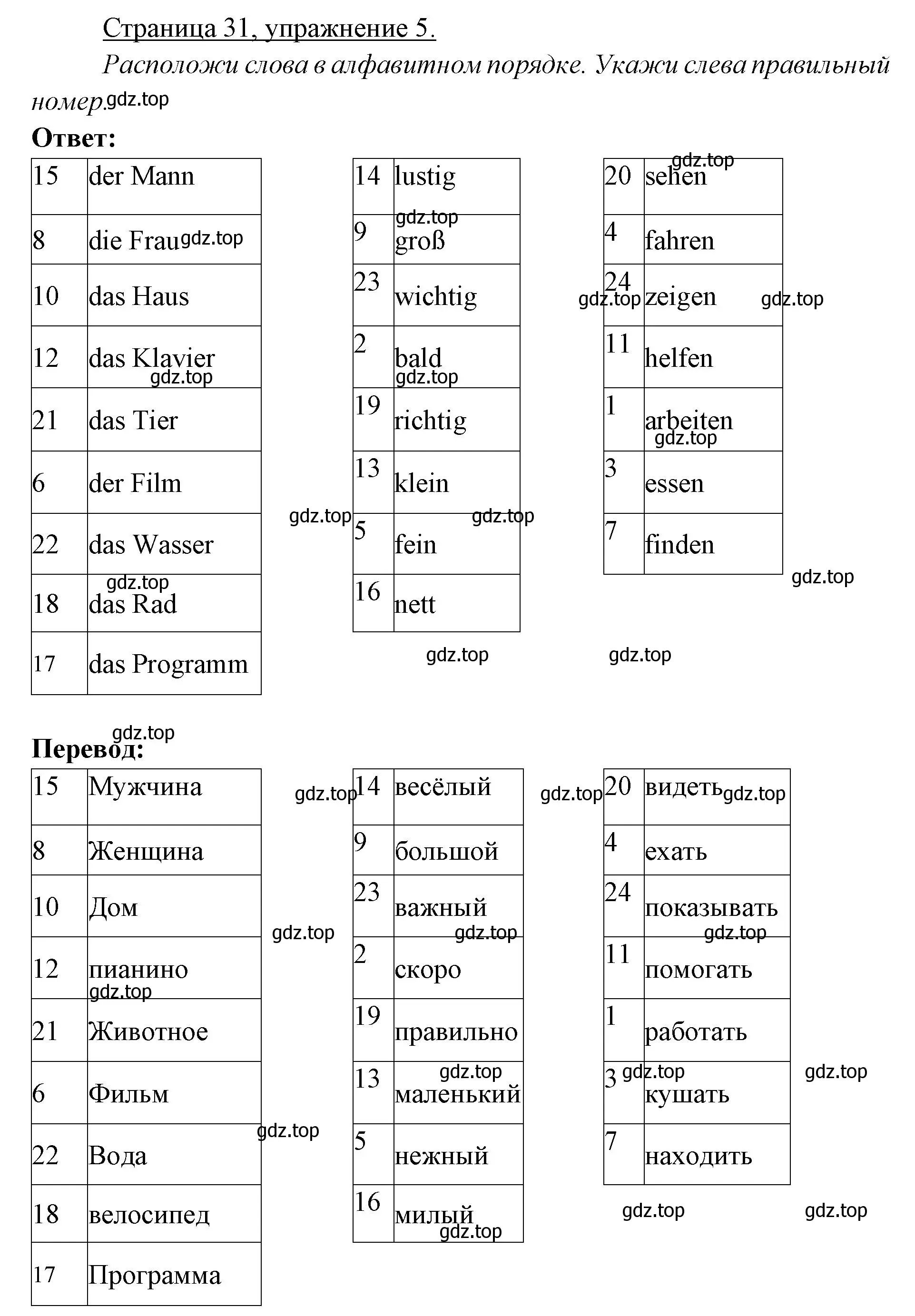 Решение номер 5 (страница 31) гдз по немецкому языку 3 класс Бим, Рыжова, рабочая тетрадь 1 часть