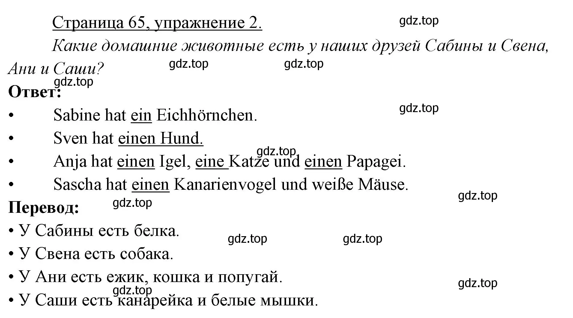 Решение номер 2 (страница 65) гдз по немецкому языку 3 класс Бим, Рыжова, рабочая тетрадь 1 часть