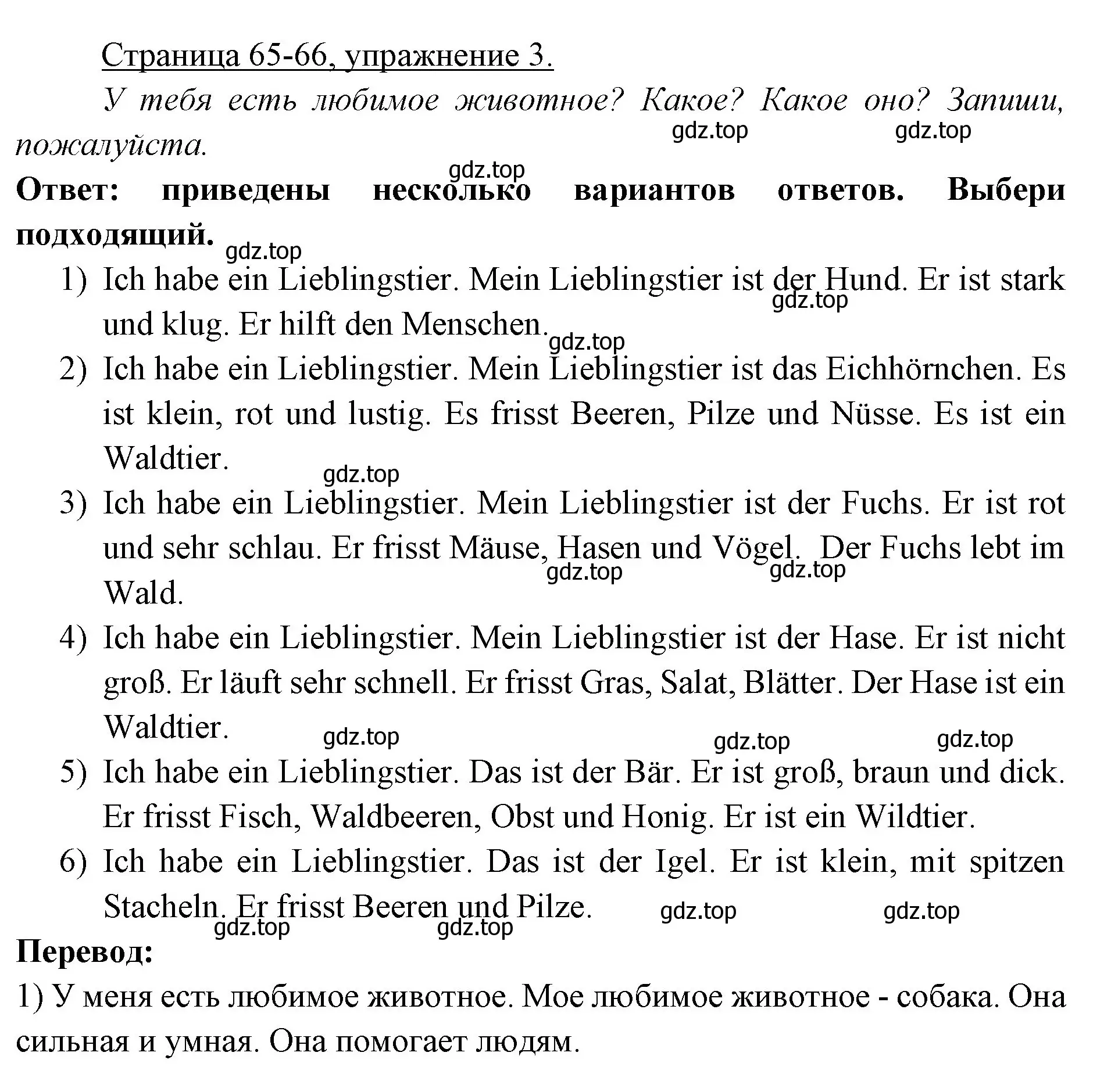 Решение номер 3 (страница 65) гдз по немецкому языку 3 класс Бим, Рыжова, рабочая тетрадь 1 часть