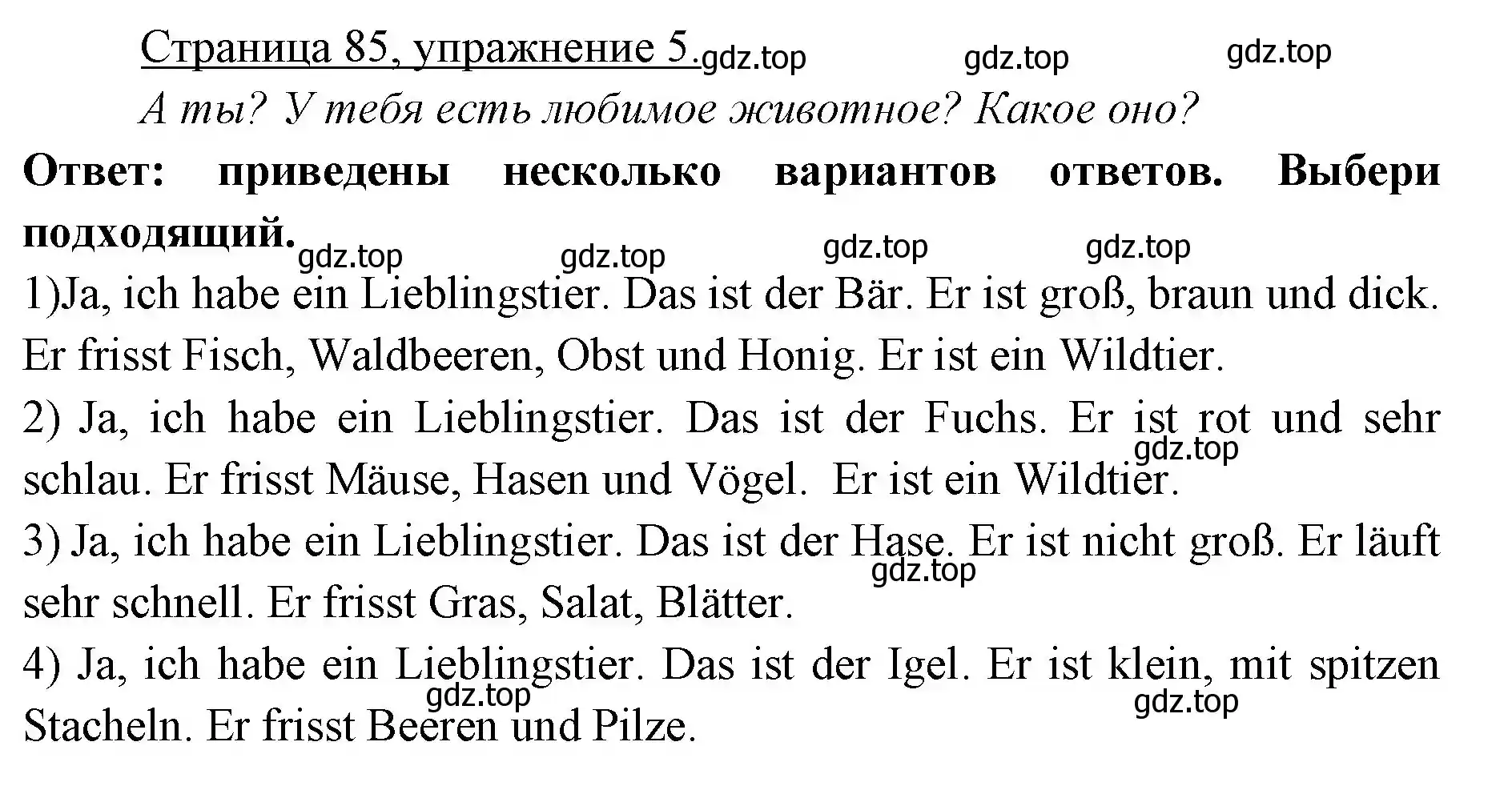 Решение номер 5 (страница 85) гдз по немецкому языку 3 класс Бим, Рыжова, учебник 1 часть