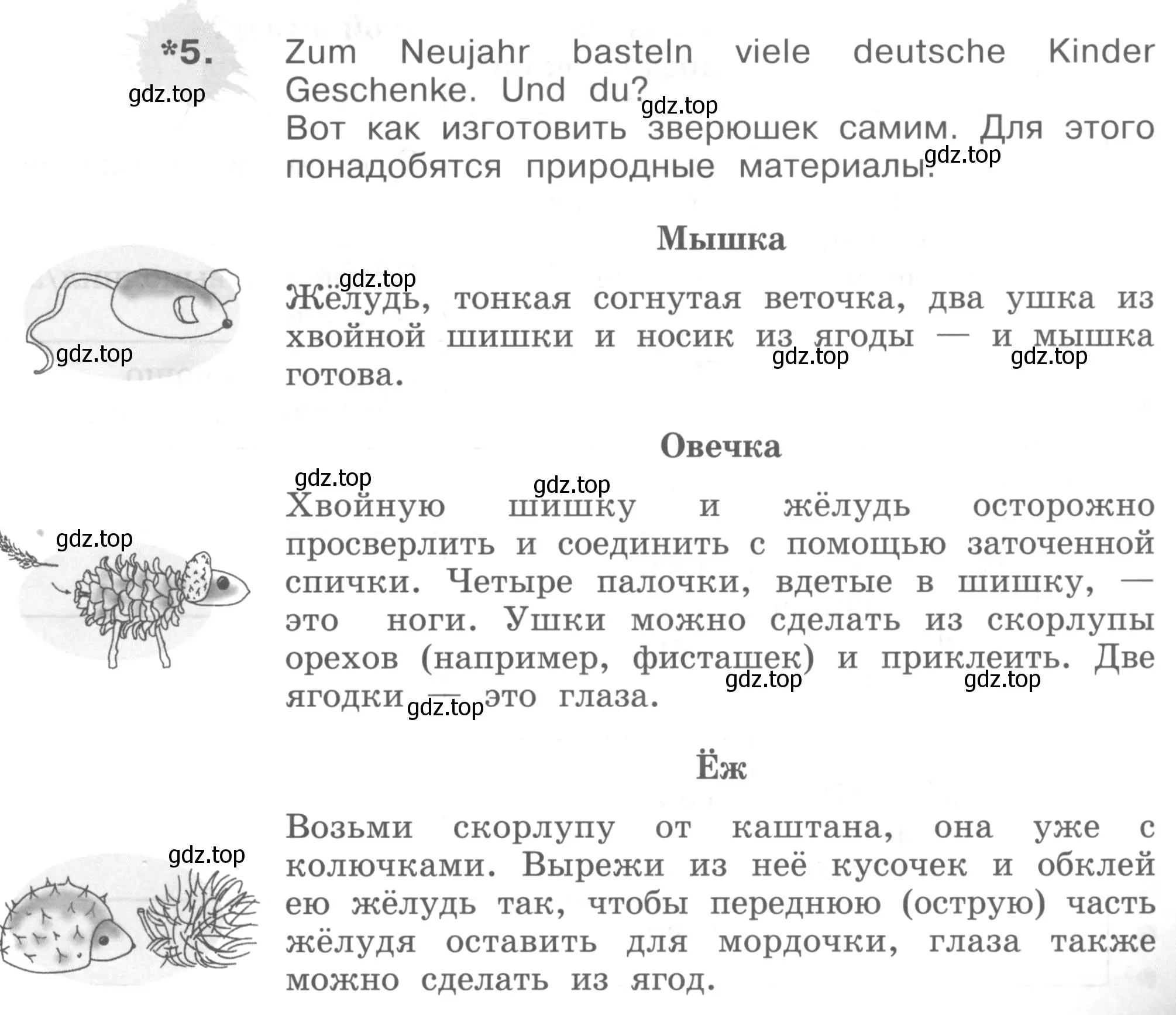 Условие номер 5 (страница 35) гдз по немецкому языку 4 класс Бим, Рыжова, рабочая тетрадь A часть