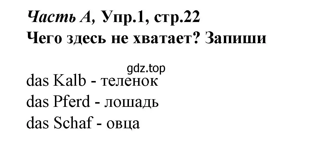 Решение номер 1 (страница 22) гдз по немецкому языку 4 класс Бим, Рыжова, рабочая тетрадь A часть