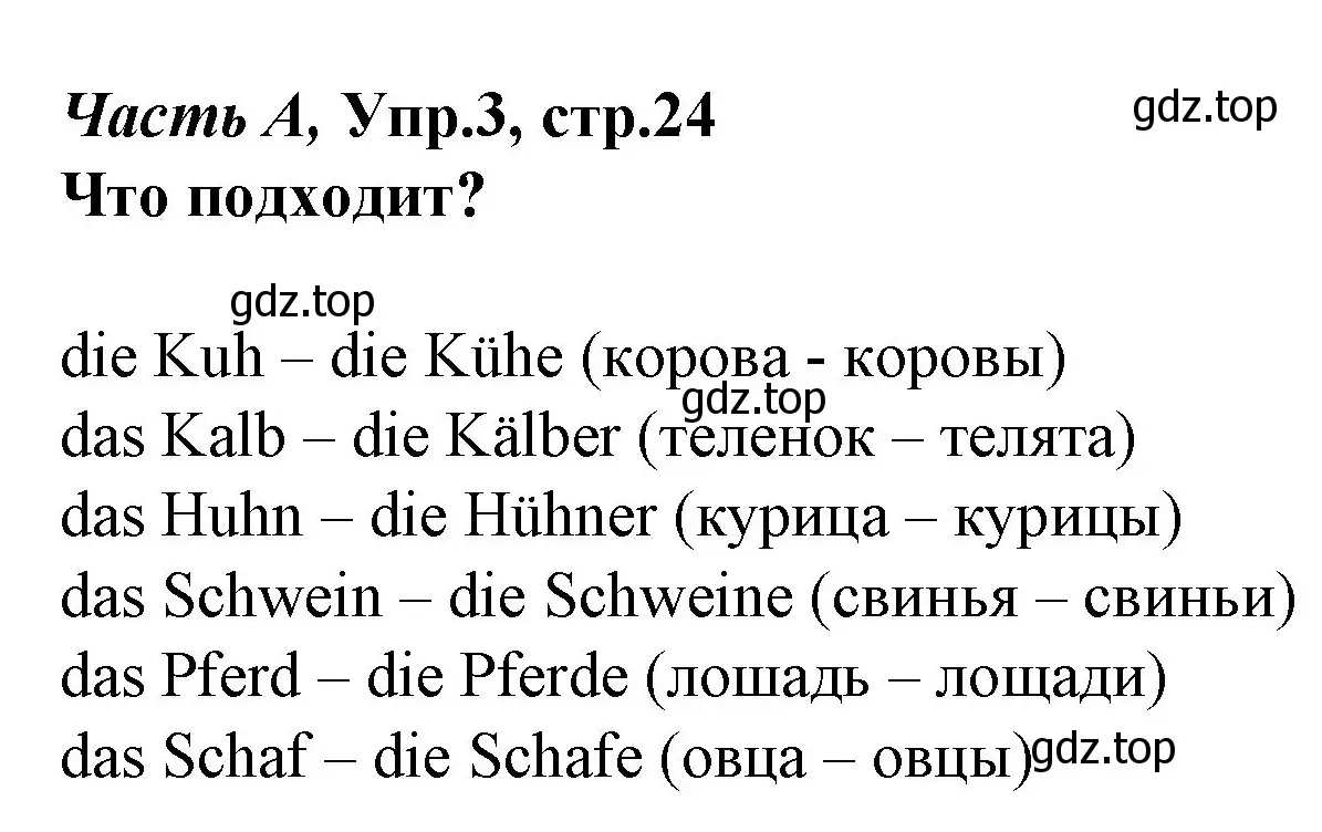 Решение номер 3 (страница 24) гдз по немецкому языку 4 класс Бим, Рыжова, рабочая тетрадь A часть