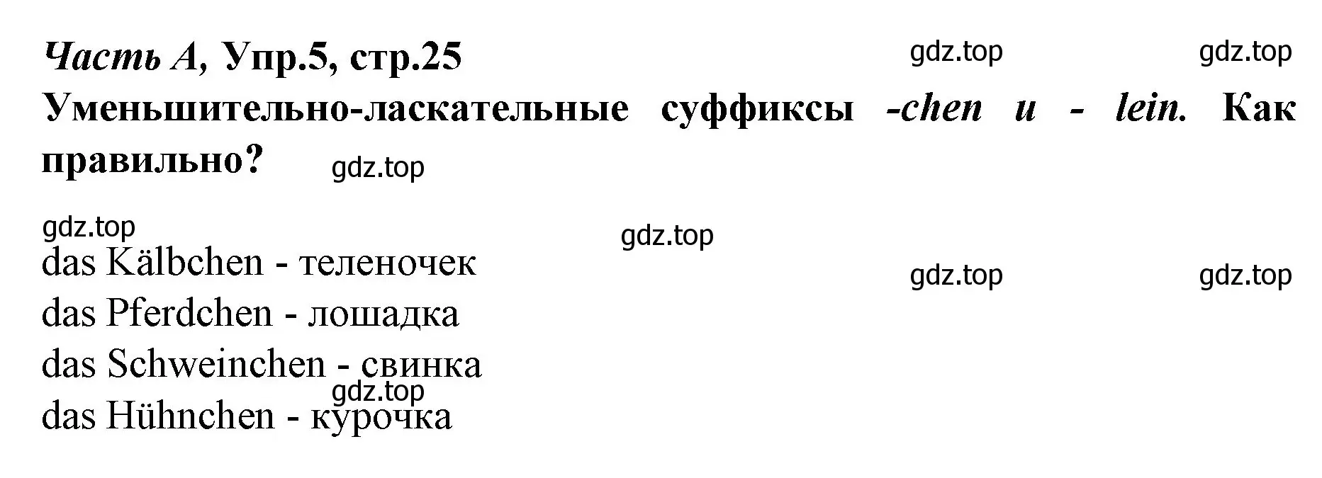 Решение номер 5 (страница 25) гдз по немецкому языку 4 класс Бим, Рыжова, рабочая тетрадь A часть