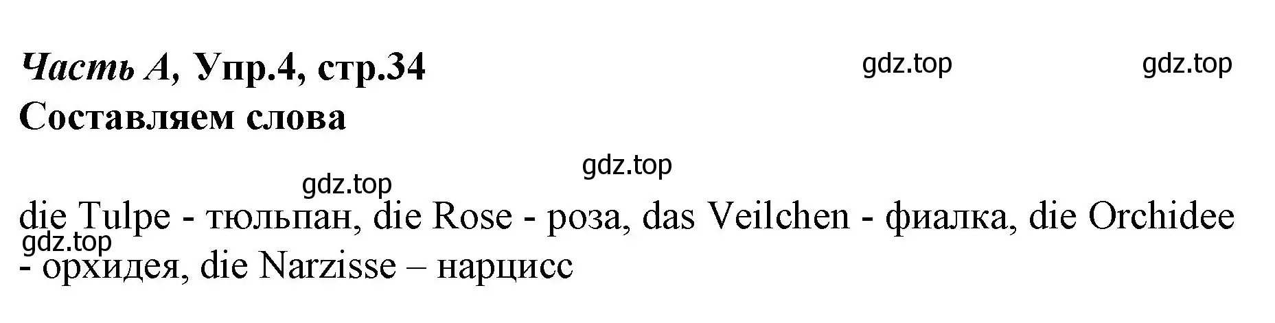 Решение номер 4 (страница 34) гдз по немецкому языку 4 класс Бим, Рыжова, рабочая тетрадь A часть