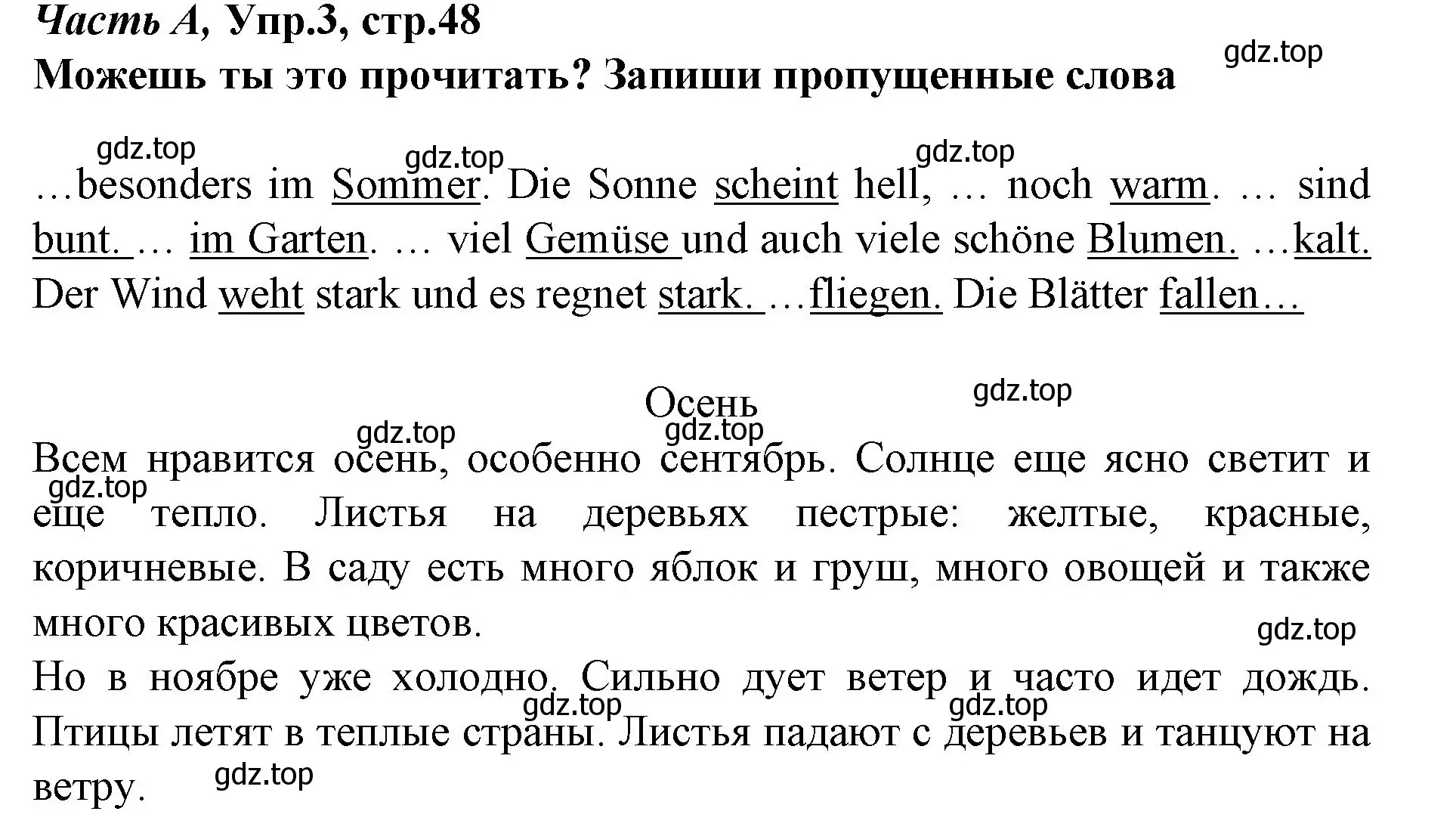 Решение номер 3 (страница 48) гдз по немецкому языку 4 класс Бим, Рыжова, рабочая тетрадь A часть