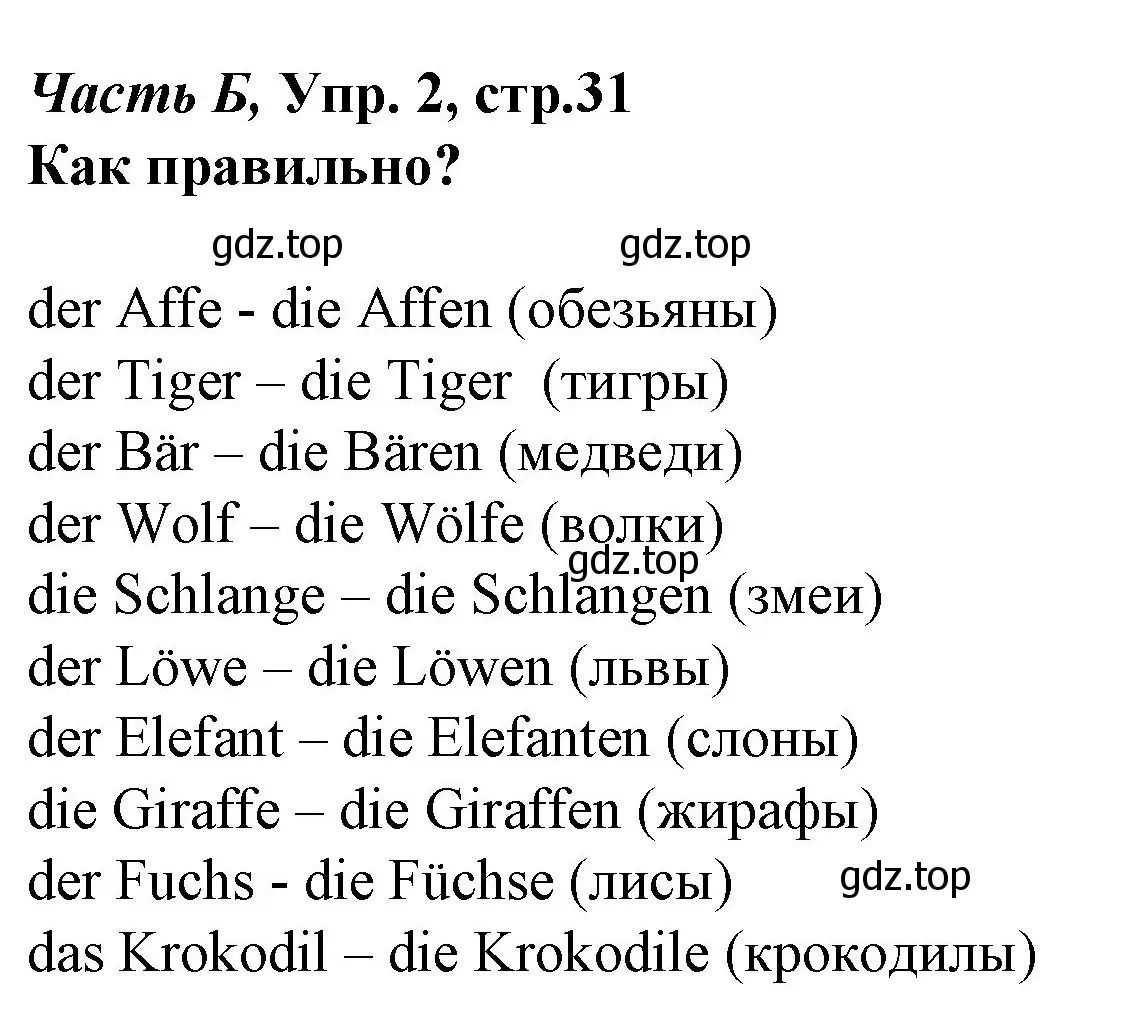 Решение номер 2 (страница 31) гдз по немецкому языку 4 класс Бим, Рыжова, рабочая тетрадь B часть