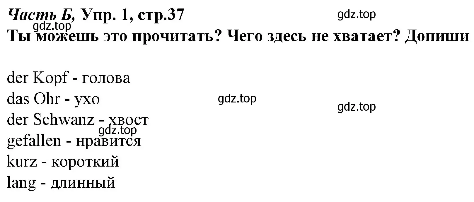 Решение номер 1 (страница 37) гдз по немецкому языку 4 класс Бим, Рыжова, рабочая тетрадь B часть