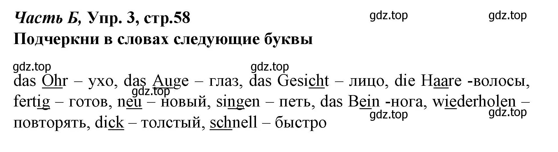 Решение номер 3 (страница 58) гдз по немецкому языку 4 класс Бим, Рыжова, рабочая тетрадь B часть