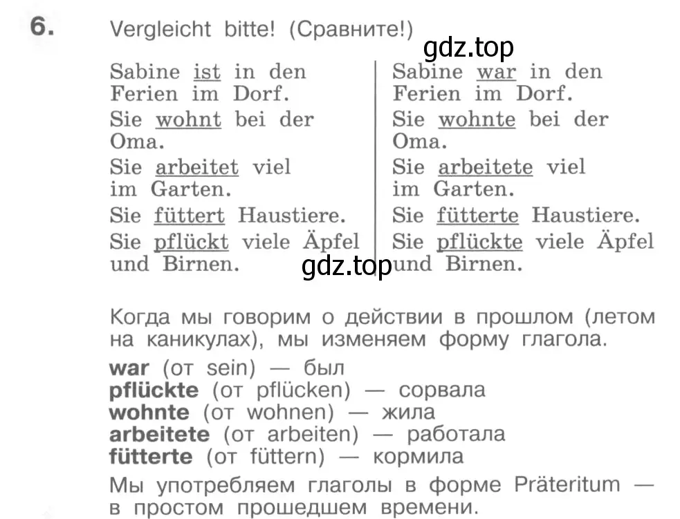 Условие номер 6 (страница 24) гдз по немецкому языку 4 класс Бим, Рыжова, учебник 1 часть