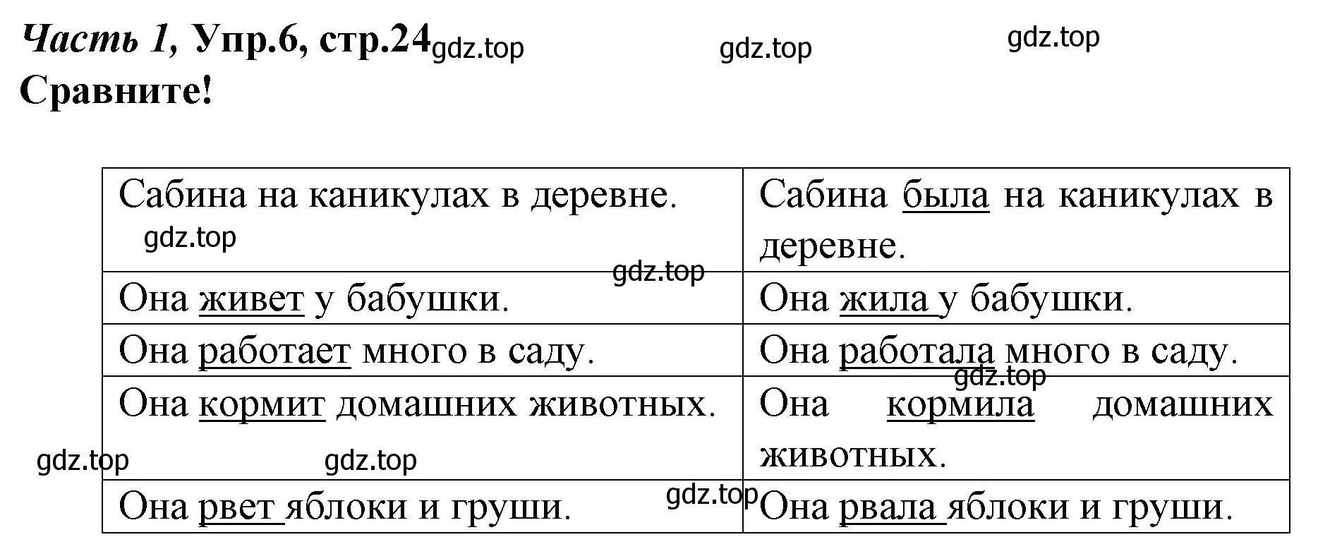 Решение номер 6 (страница 24) гдз по немецкому языку 4 класс Бим, Рыжова, учебник 1 часть