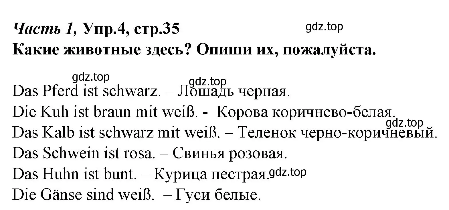 Решение номер 4 (страница 35) гдз по немецкому языку 4 класс Бим, Рыжова, учебник 1 часть