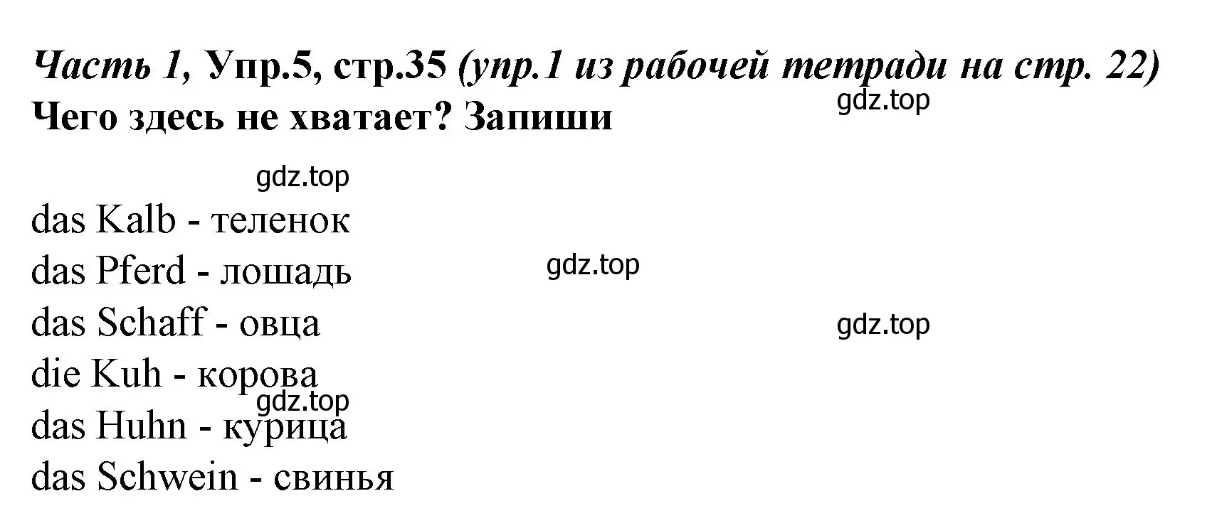 Решение номер 5 (страница 35) гдз по немецкому языку 4 класс Бим, Рыжова, учебник 1 часть