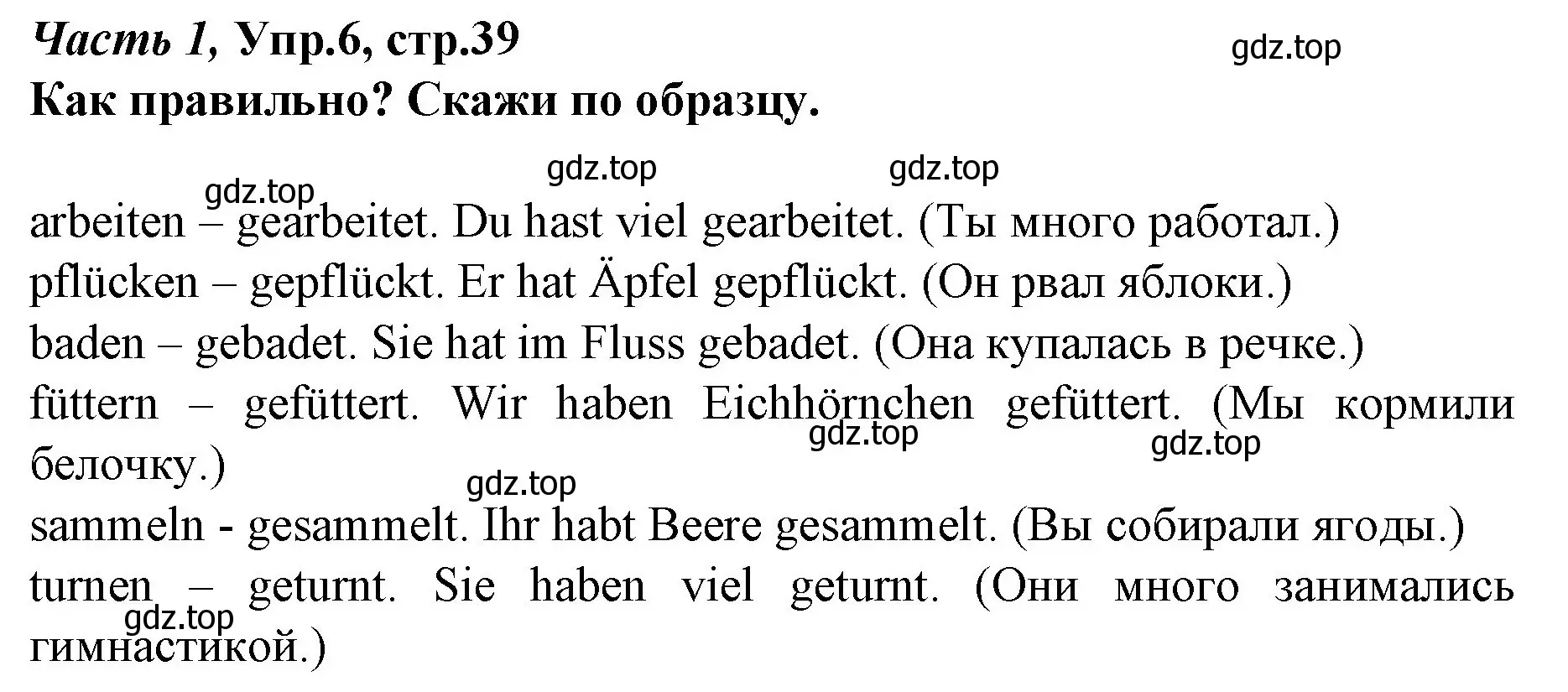 Решение номер 6 (страница 39) гдз по немецкому языку 4 класс Бим, Рыжова, учебник 1 часть