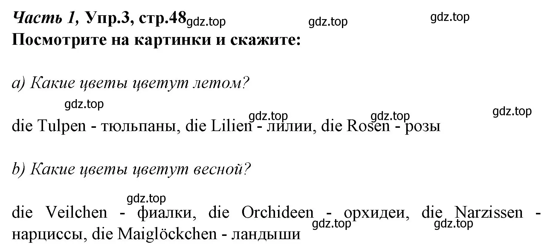 Решение номер 3 (страница 48) гдз по немецкому языку 4 класс Бим, Рыжова, учебник 1 часть