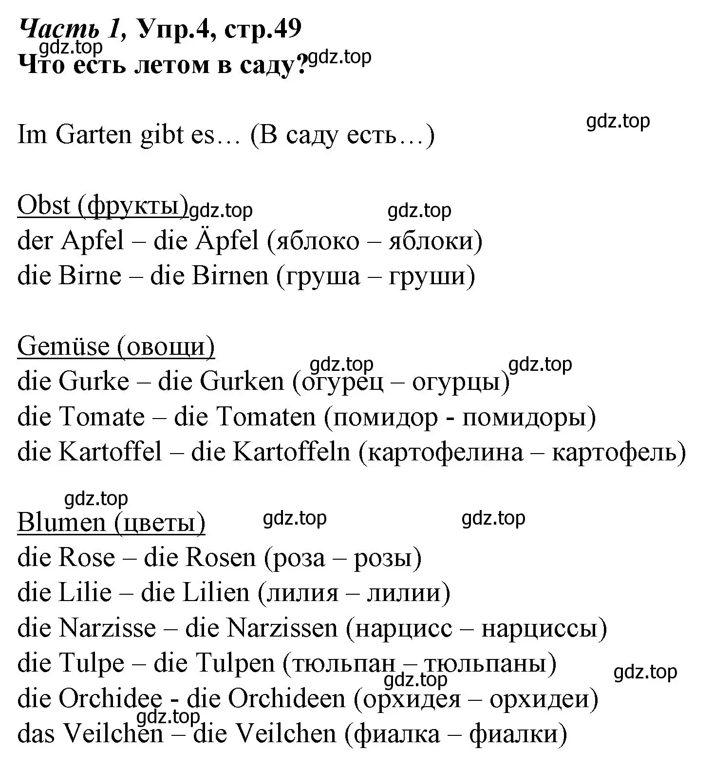 Решение номер 4 (страница 49) гдз по немецкому языку 4 класс Бим, Рыжова, учебник 1 часть