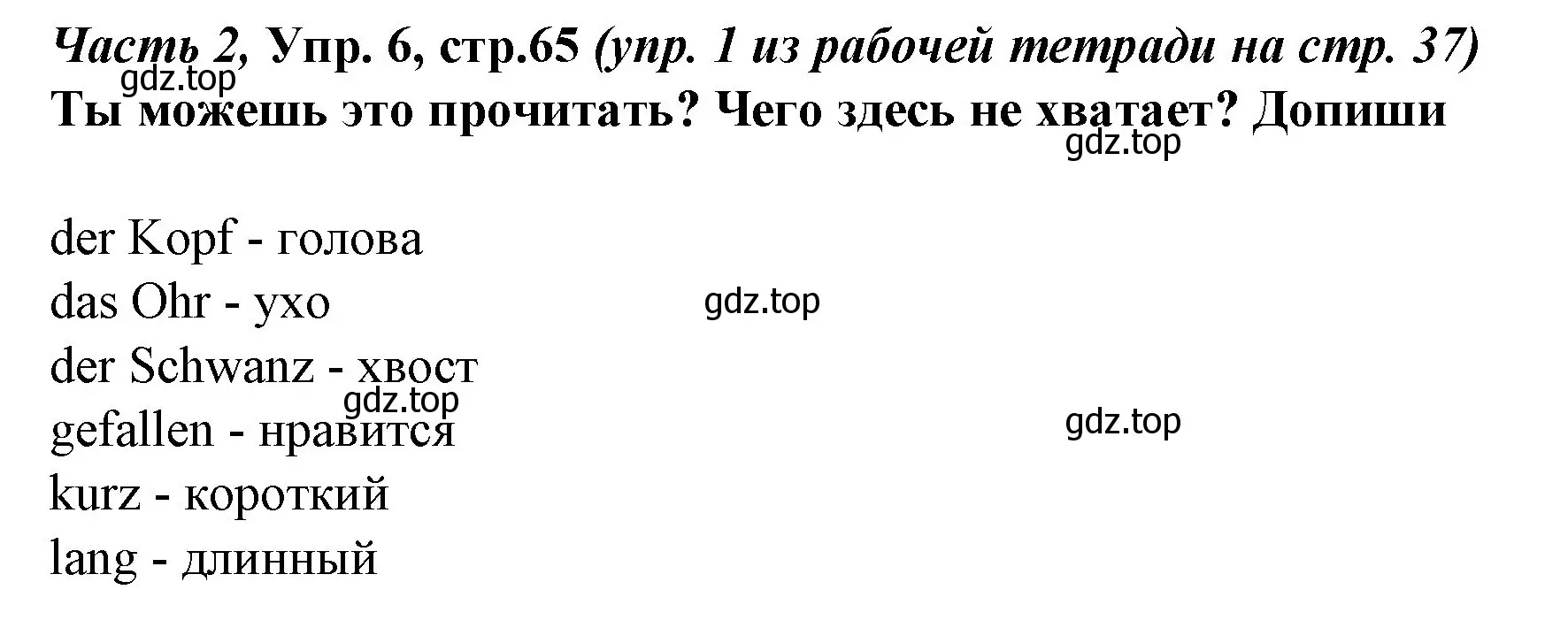 Решение номер 6 (страница 65) гдз по немецкому языку 4 класс Бим, Рыжова, учебник 2 часть