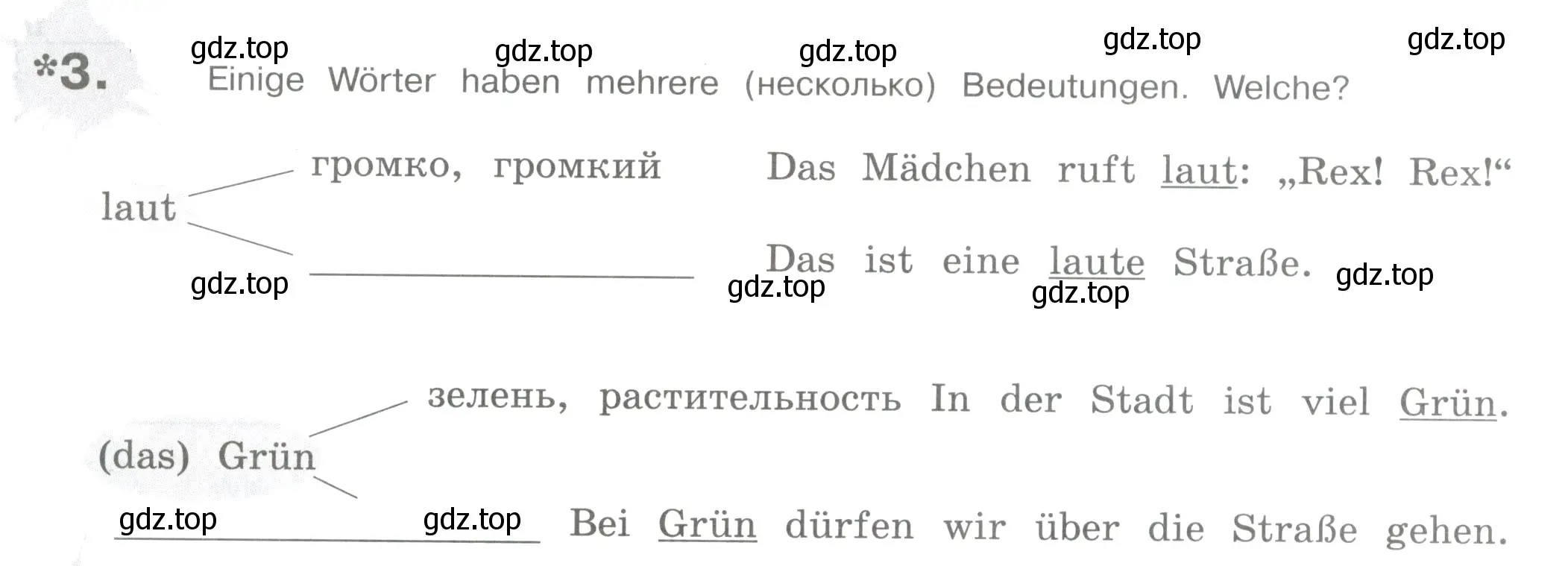 Условие номер 3 (страница 43) гдз по немецкому языку 5 класс Бим, Рыжова, рабочая тетрадь