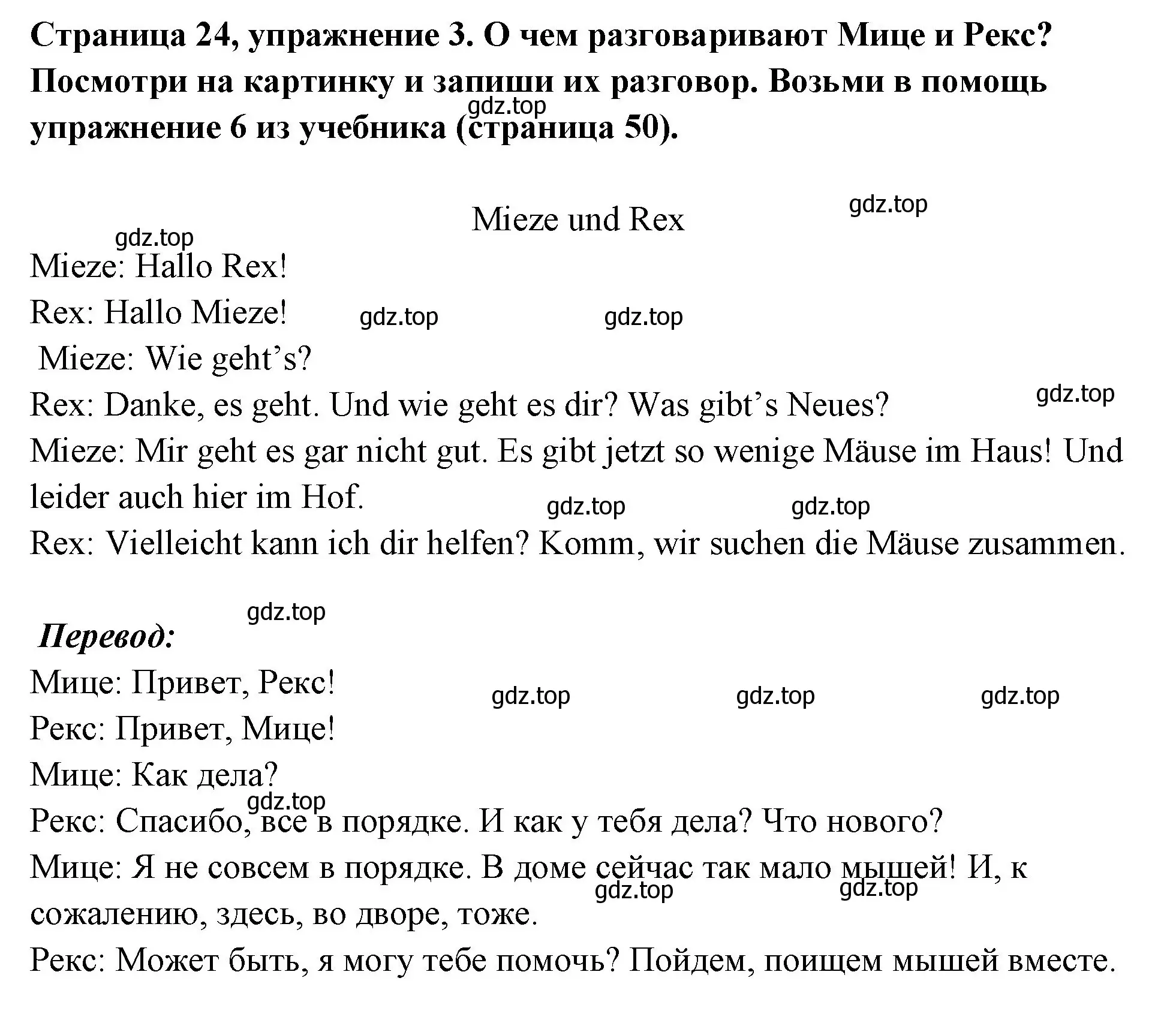 Решение номер 3 (страница 24) гдз по немецкому языку 5 класс Бим, Рыжова, рабочая тетрадь