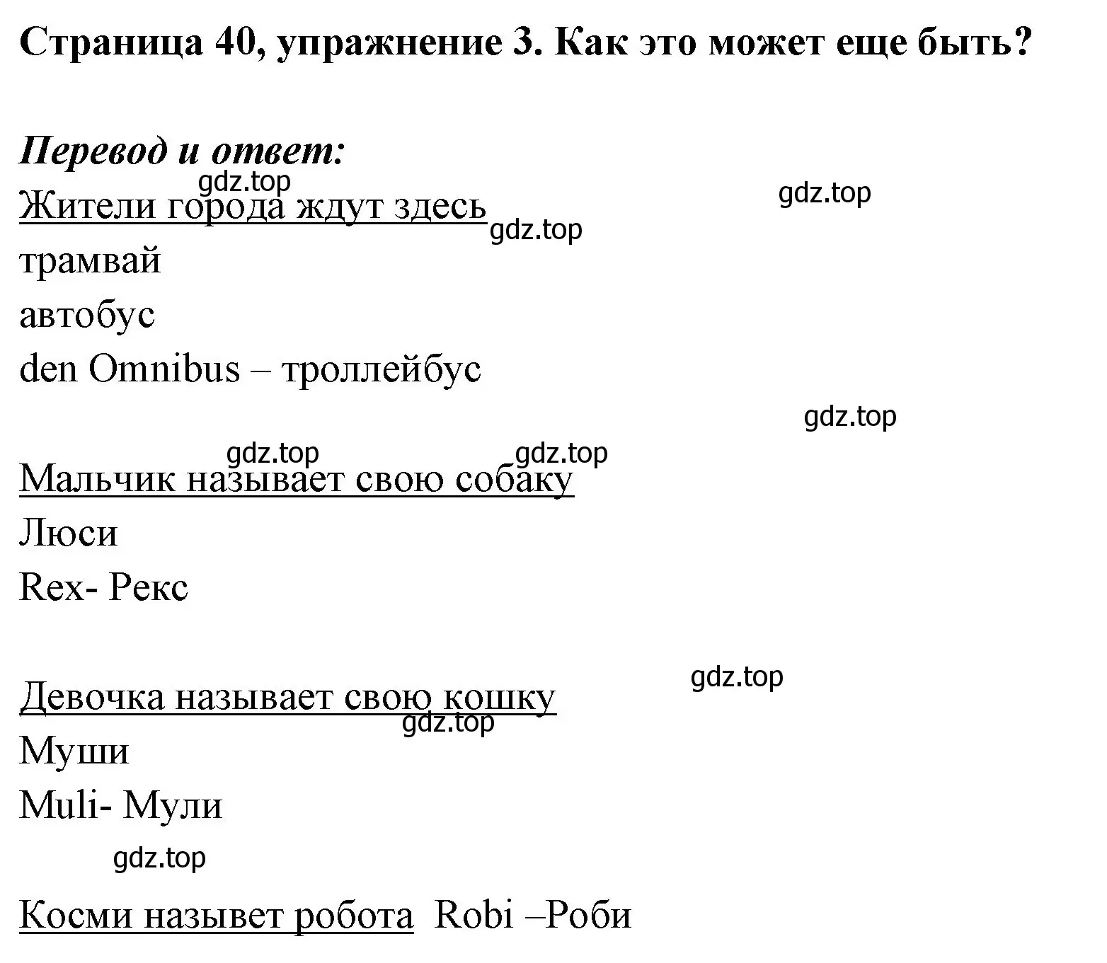 Решение номер 3 (страница 40) гдз по немецкому языку 5 класс Бим, Рыжова, рабочая тетрадь