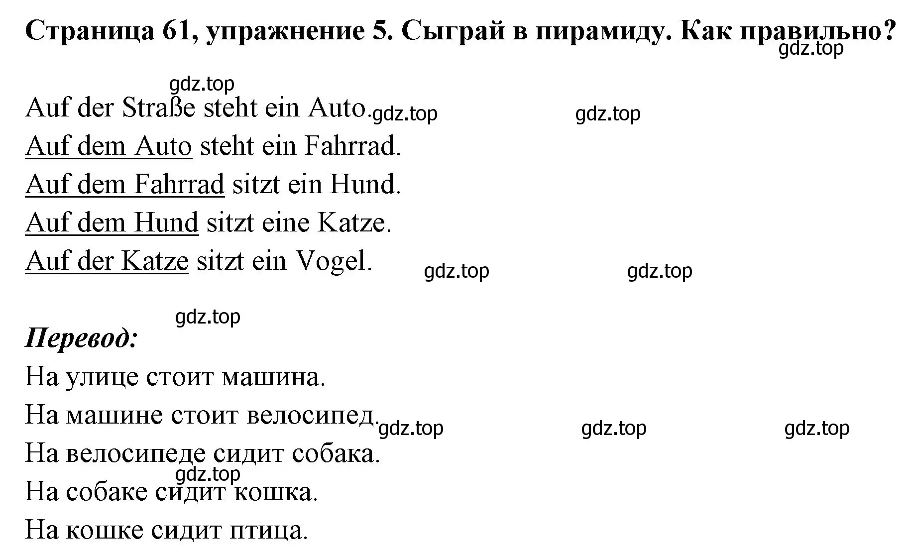 Решение номер 5 (страница 61) гдз по немецкому языку 5 класс Бим, Рыжова, рабочая тетрадь