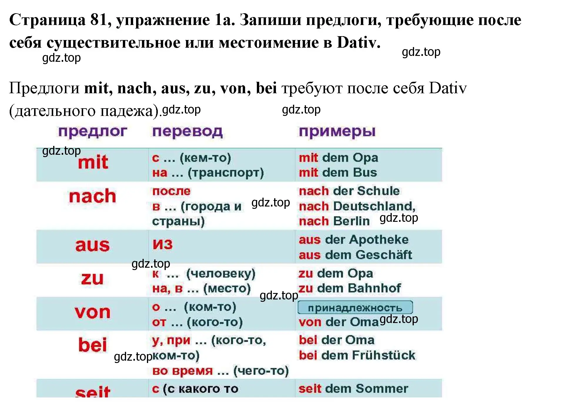 Решение номер 1 (страница 81) гдз по немецкому языку 5 класс Бим, Рыжова, рабочая тетрадь