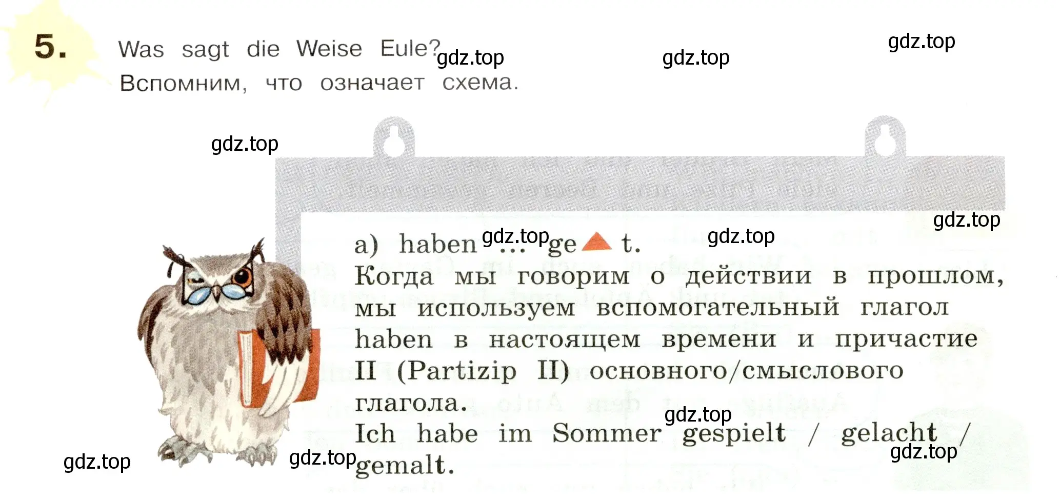 Условие номер 5 (страница 24) гдз по немецкому языку 5 класс Бим, Рыжова, учебник