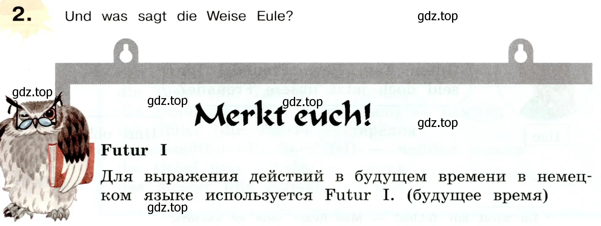 Условие номер 2 (страница 212) гдз по немецкому языку 5 класс Бим, Рыжова, учебник