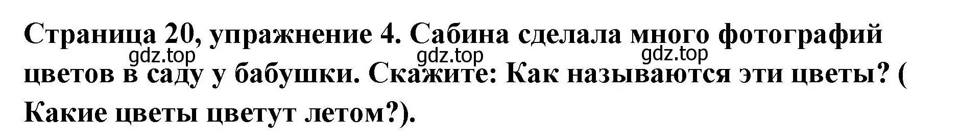 Решение номер 4 (страница 20) гдз по немецкому языку 5 класс Бим, Рыжова, учебник