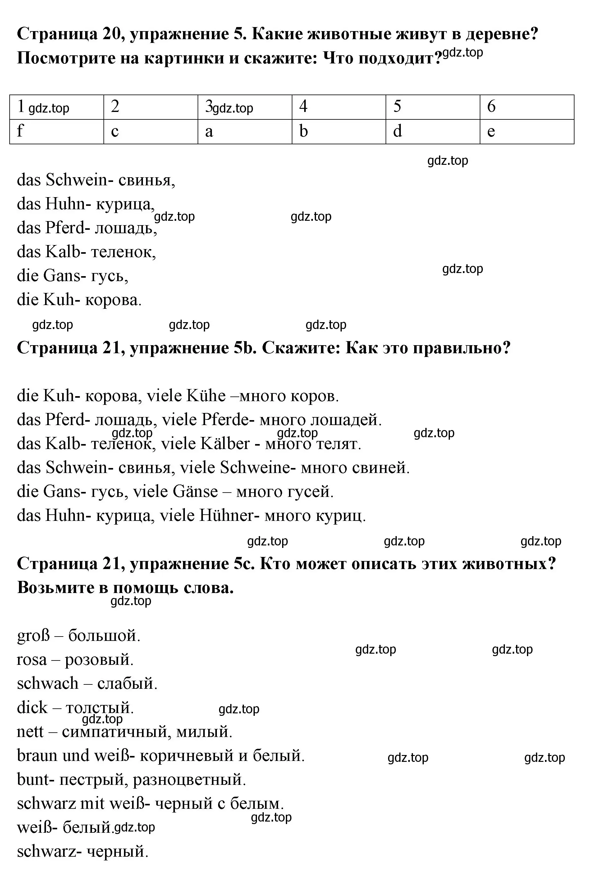 Решение номер 5 (страница 20) гдз по немецкому языку 5 класс Бим, Рыжова, учебник