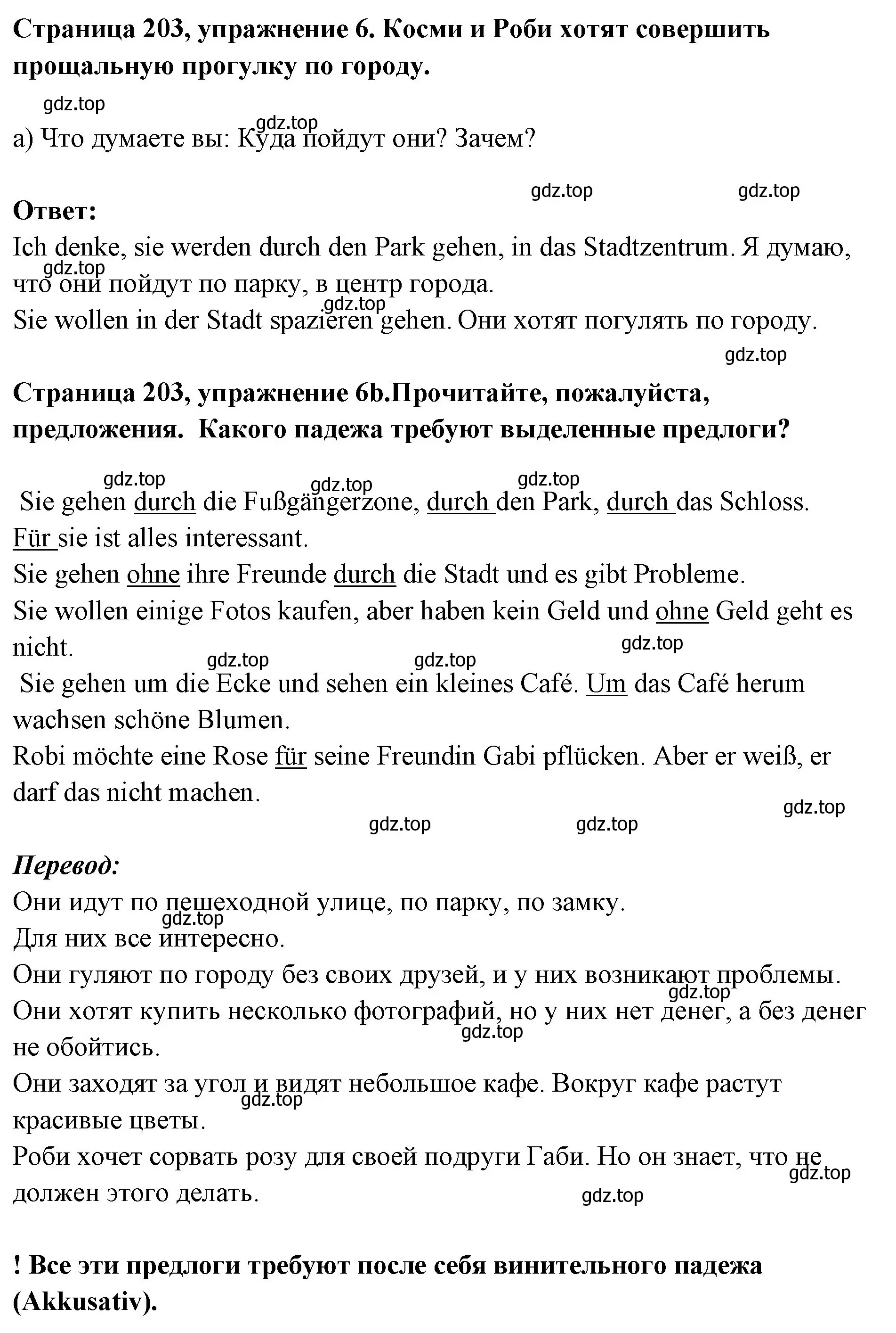 Решение номер 6 (страница 203) гдз по немецкому языку 5 класс Бим, Рыжова, учебник