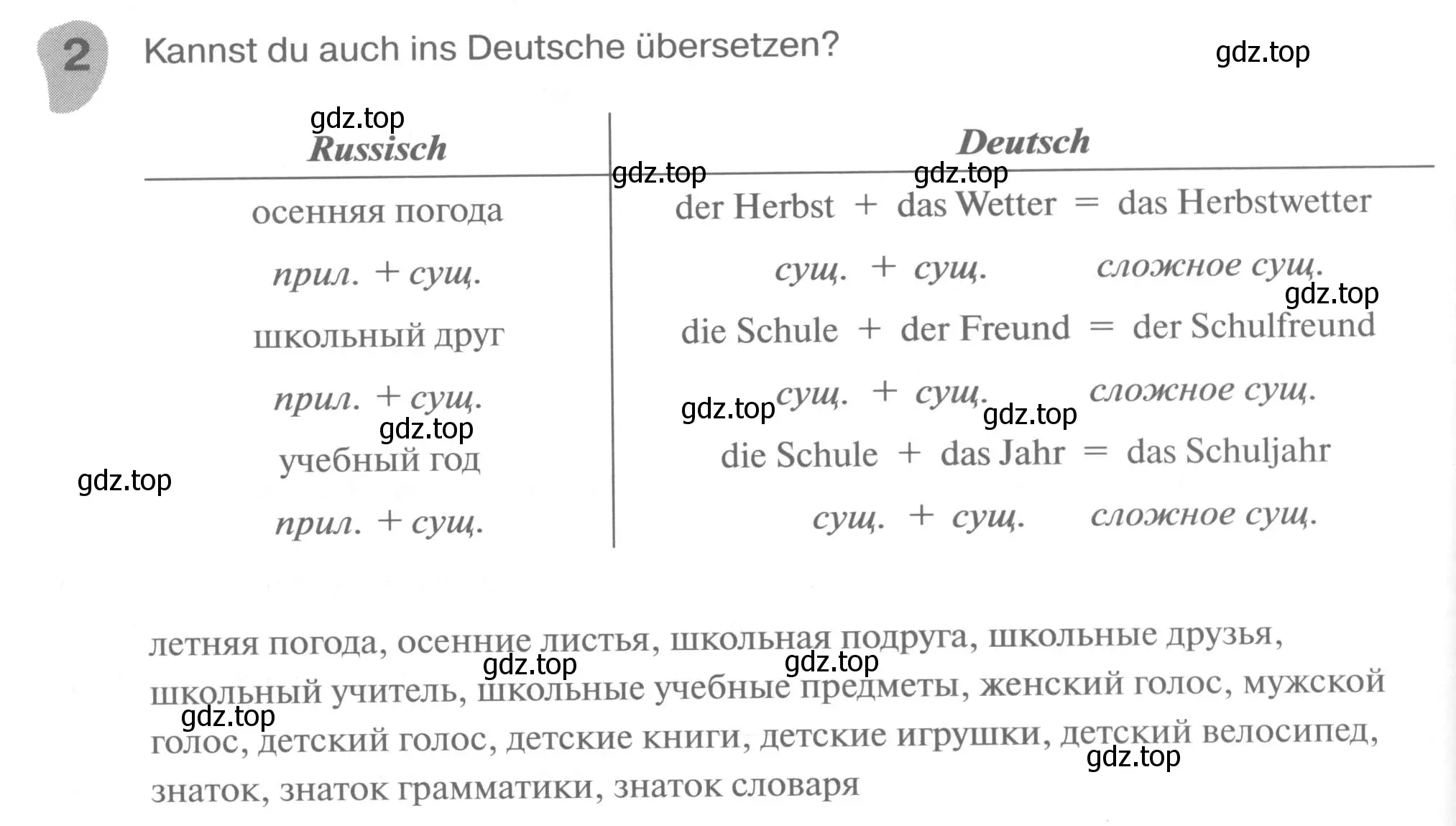 Условие номер 2 (страница 28) гдз по немецкому языку 6 класс Бим, Фомичева, рабочая тетрадь