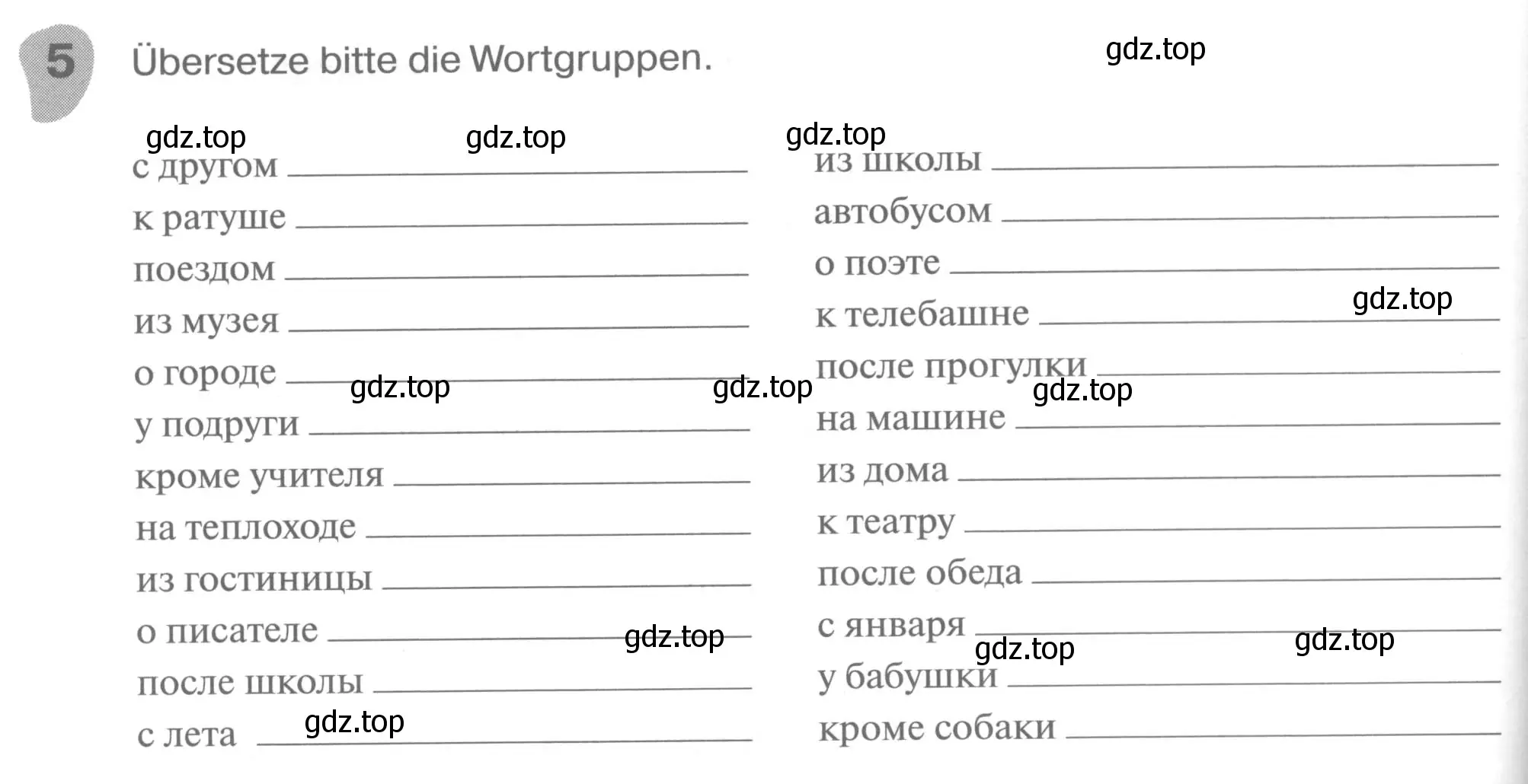 Условие номер 5 (страница 116) гдз по немецкому языку 6 класс Бим, Фомичева, рабочая тетрадь