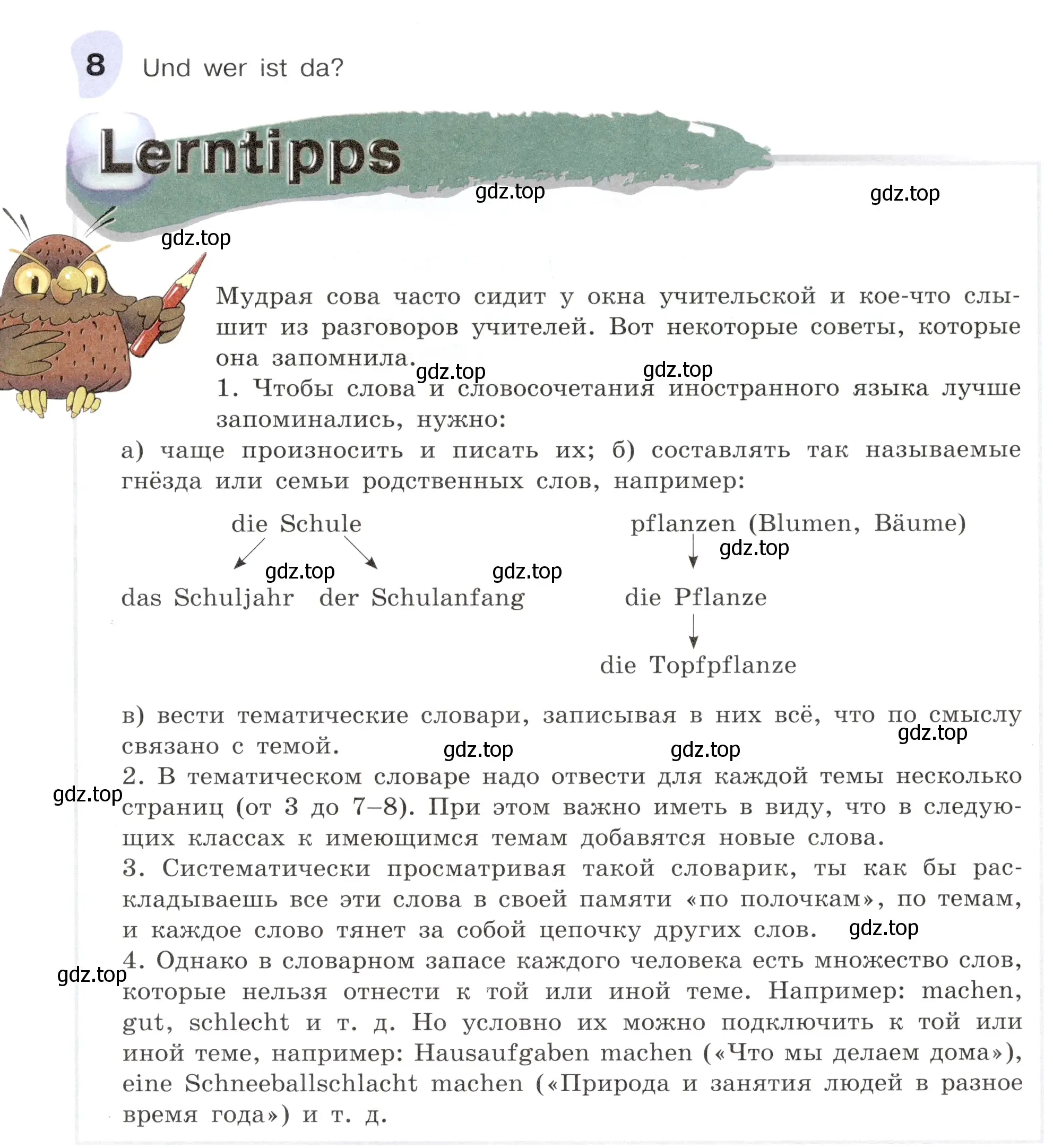 Условие номер 8 (страница 23) гдз по немецкому языку 6 класс Бим, Садомова, учебник 1 часть