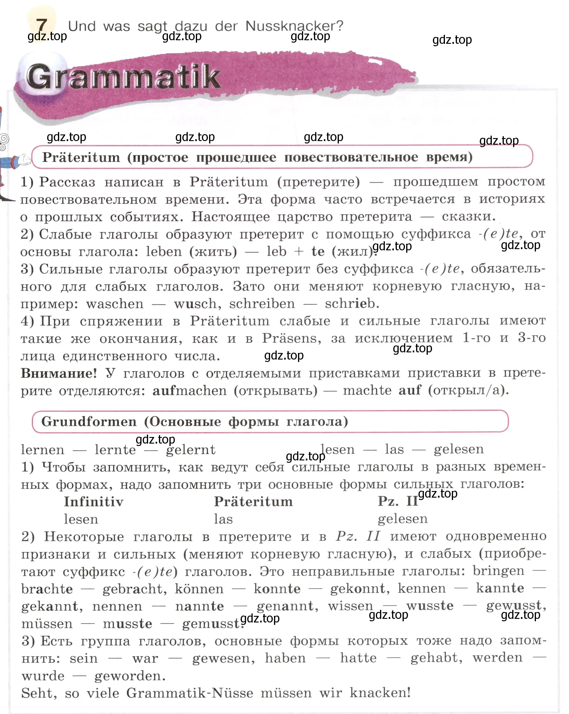 Условие номер 7 (страница 19) гдз по немецкому языку 6 класс Бим, Садомова, учебник 2 часть