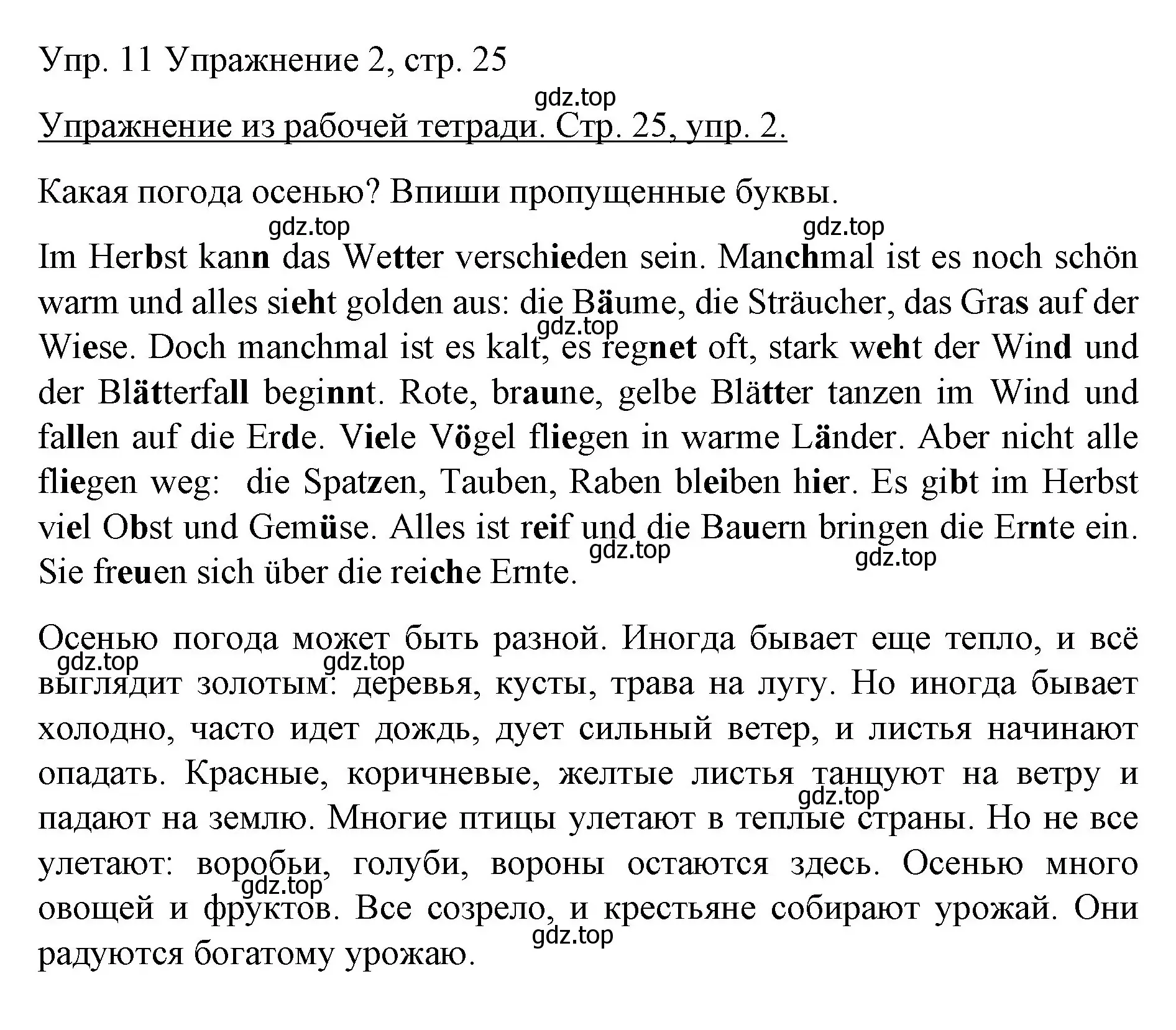 Решение номер 11 (страница 60) гдз по немецкому языку 6 класс Бим, Садомова, учебник 1 часть