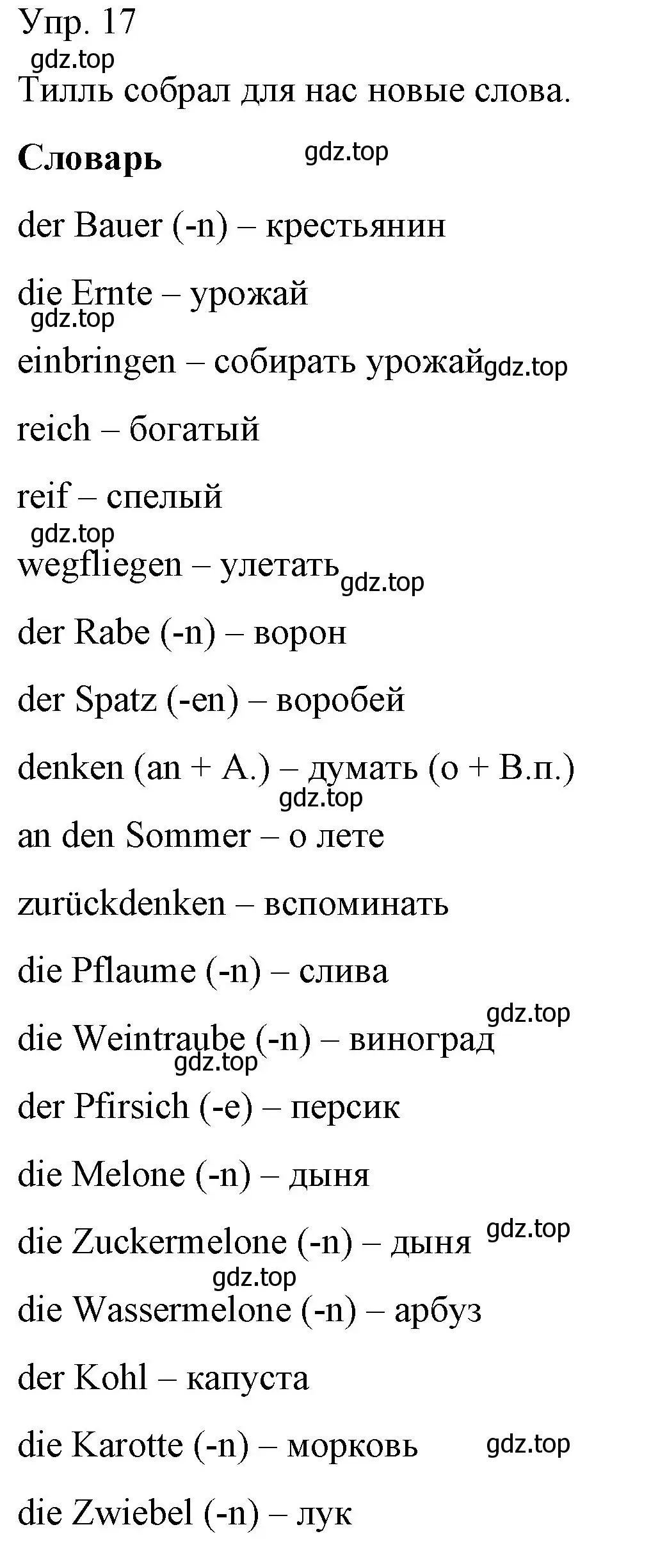 Решение номер 17 (страница 62) гдз по немецкому языку 6 класс Бим, Садомова, учебник 1 часть