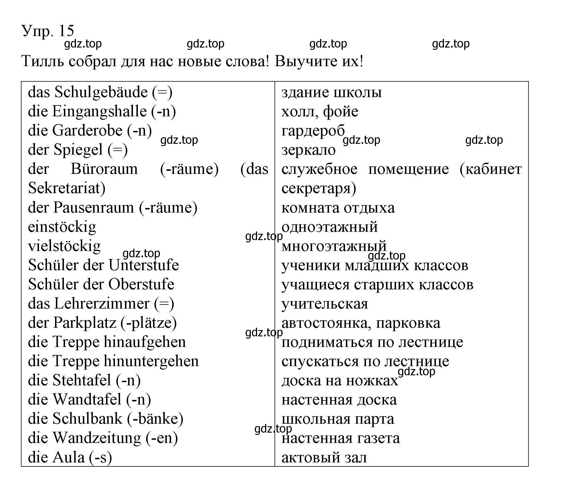 Решение номер 15 (страница 92) гдз по немецкому языку 6 класс Бим, Садомова, учебник 1 часть