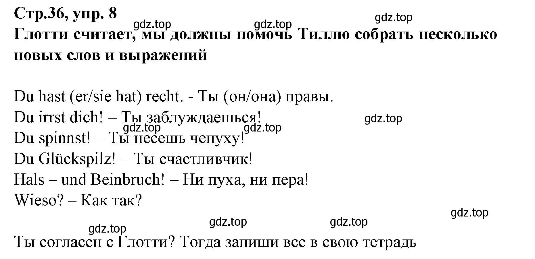 Решение номер 8 (страница 36) гдз по немецкому языку 6 класс Бим, Садомова, учебник 2 часть